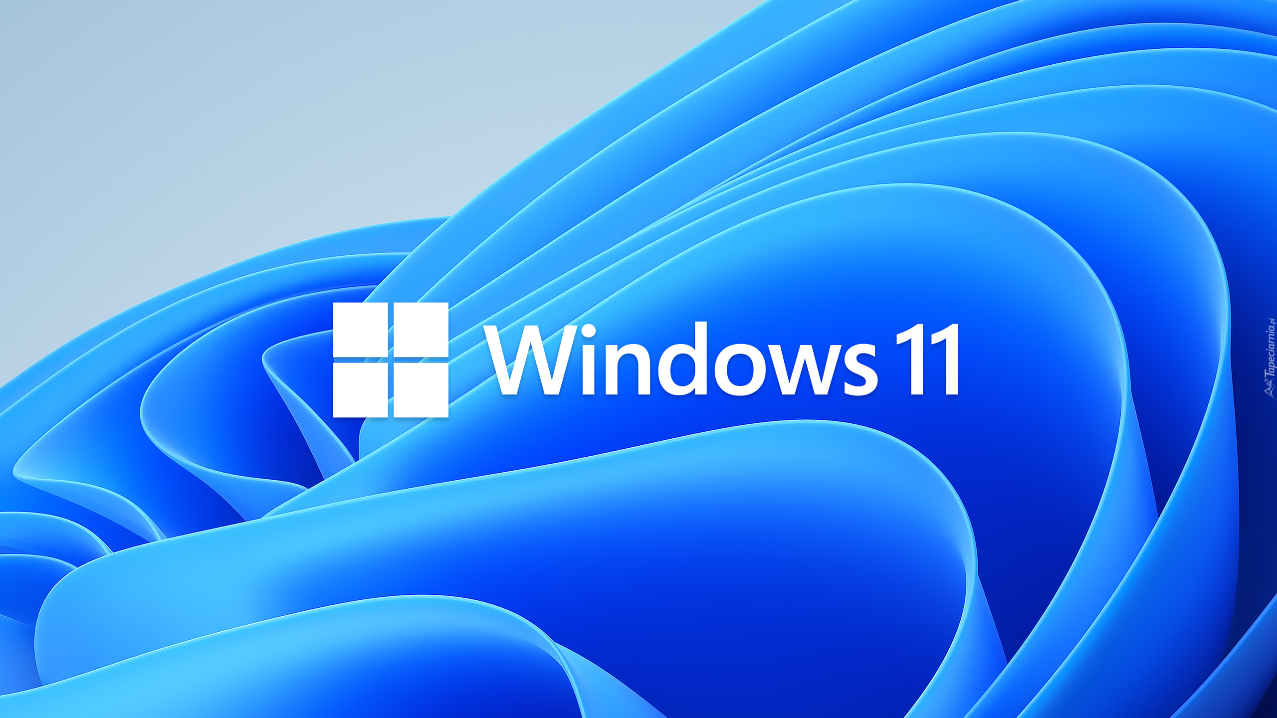 Logo, Windows 11, Niebieskie, Fale, Kształty