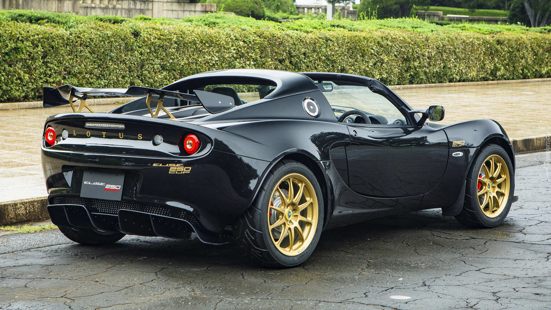 Lotus Elise Cup 250