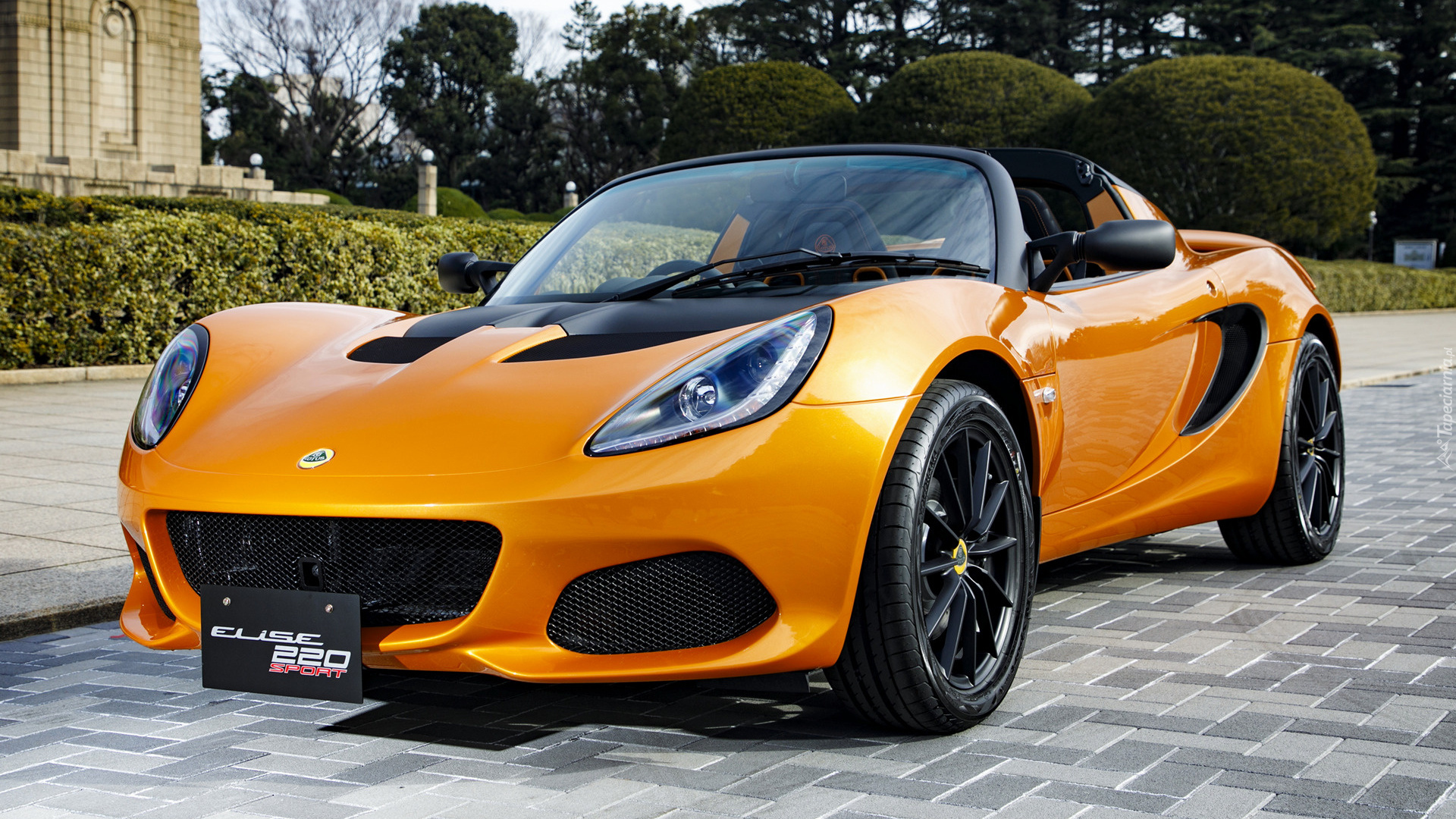 Lotus Elise, Sport 220 Special Colour