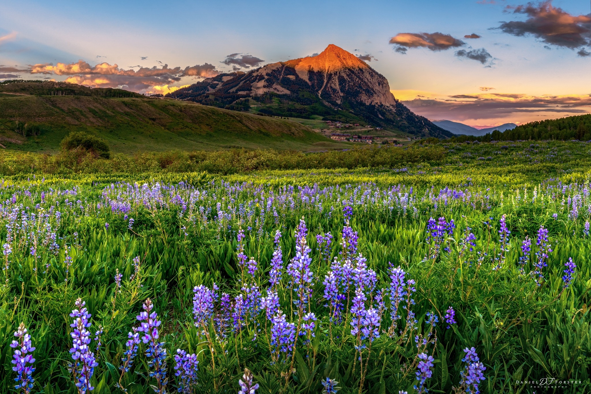 Zachód słońca, Łąka, Kwiaty, Łubiny, Góry, Drzewa, Miasto, Crested Butte, Stan, Kolorado, Stany Zjednoczone