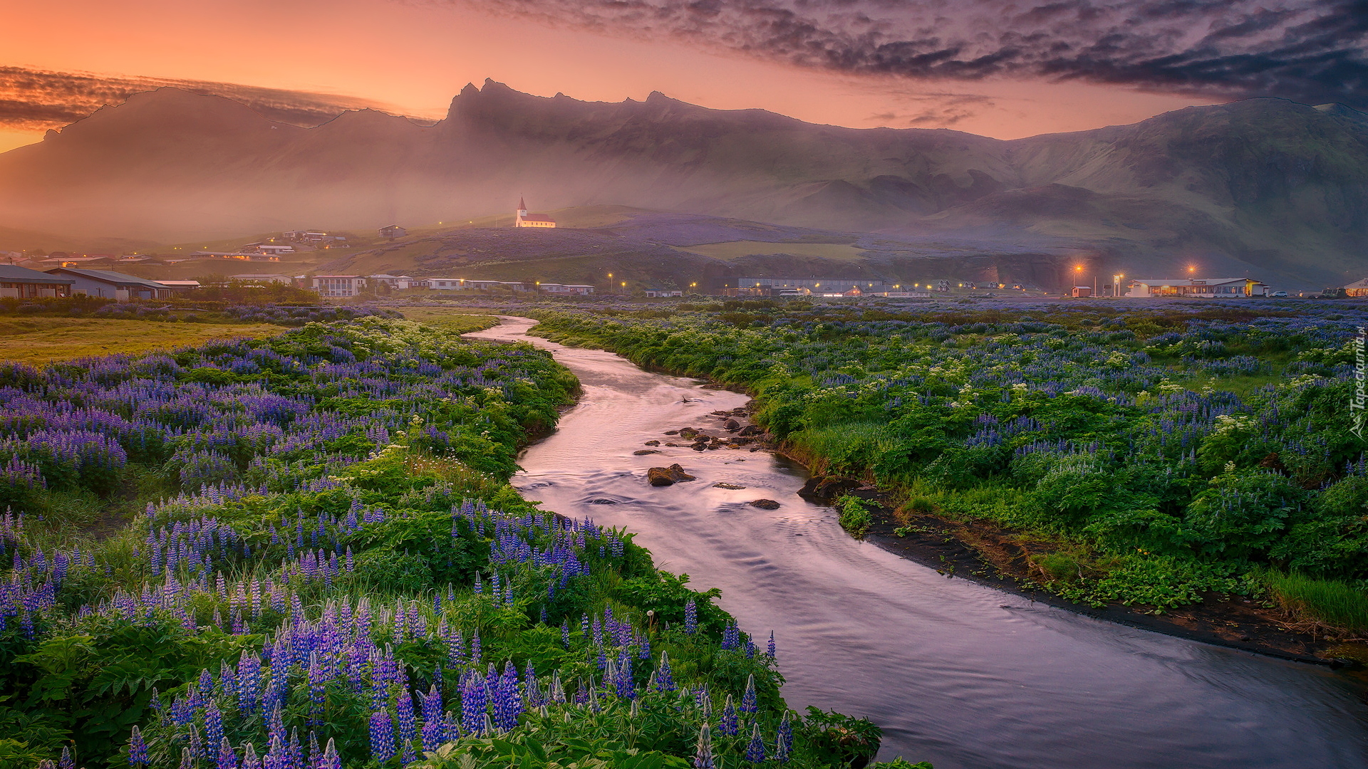 Łąka, Łubin, Rzeka, Góry, Kościół, Miejscowość Vik i Myrdal, Gmina Myrdalshreppur, Islandia