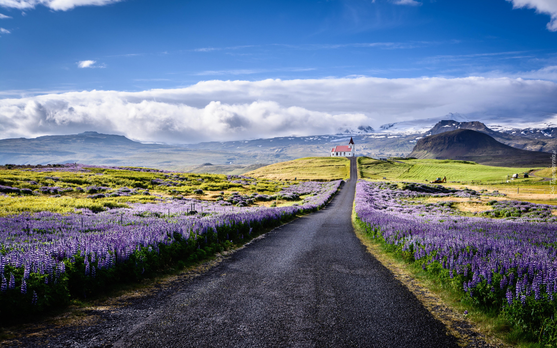 Droga, Chmury, Kwiaty, Łubin, Góry, Kościół, Półwysep Snaefellsnes, Islandia