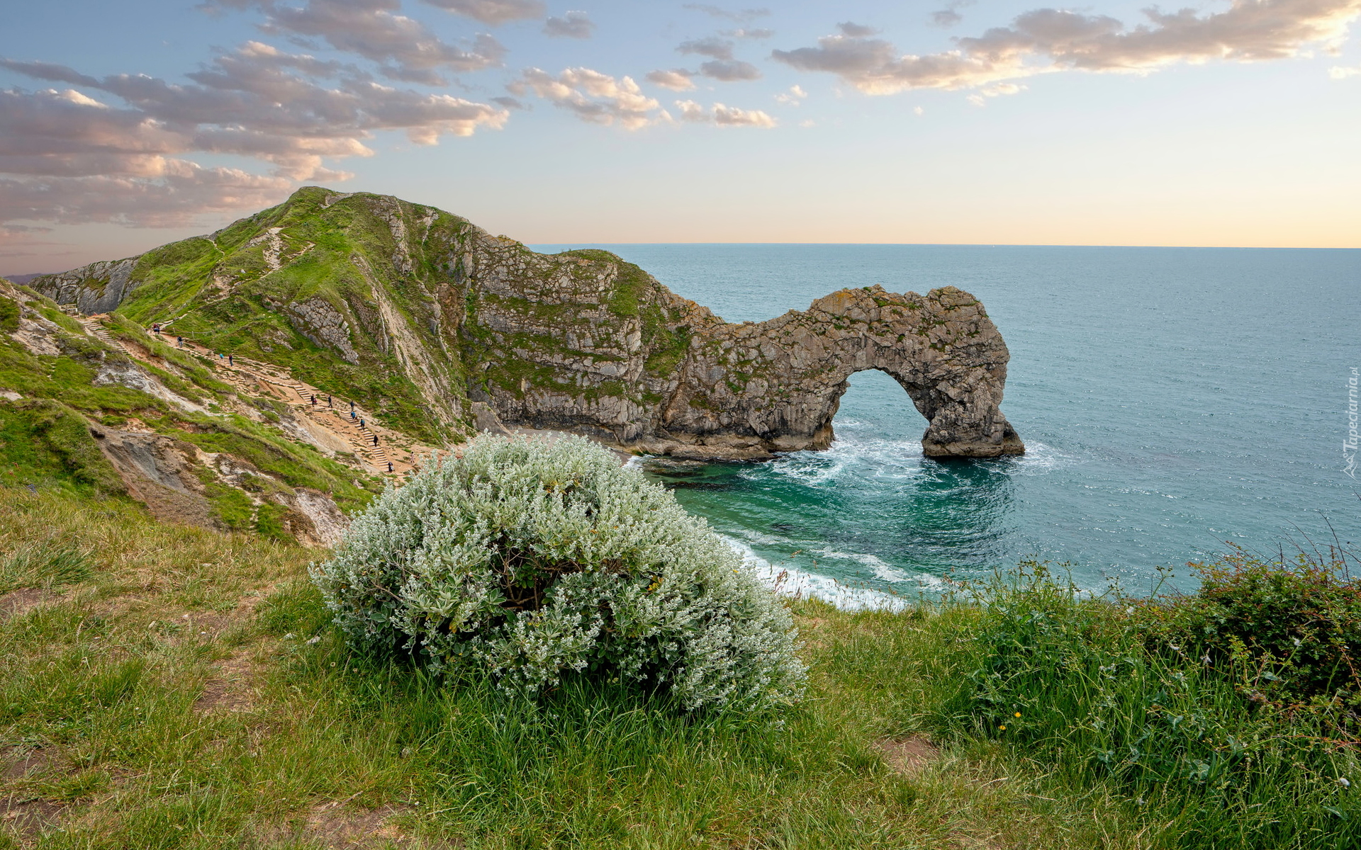 Morze, Wybrzeże Jurajskie, Rośliny, Skała, Łuk wapienny Durdle Door, Chmury, Hrabstwo Dorset, Anglia