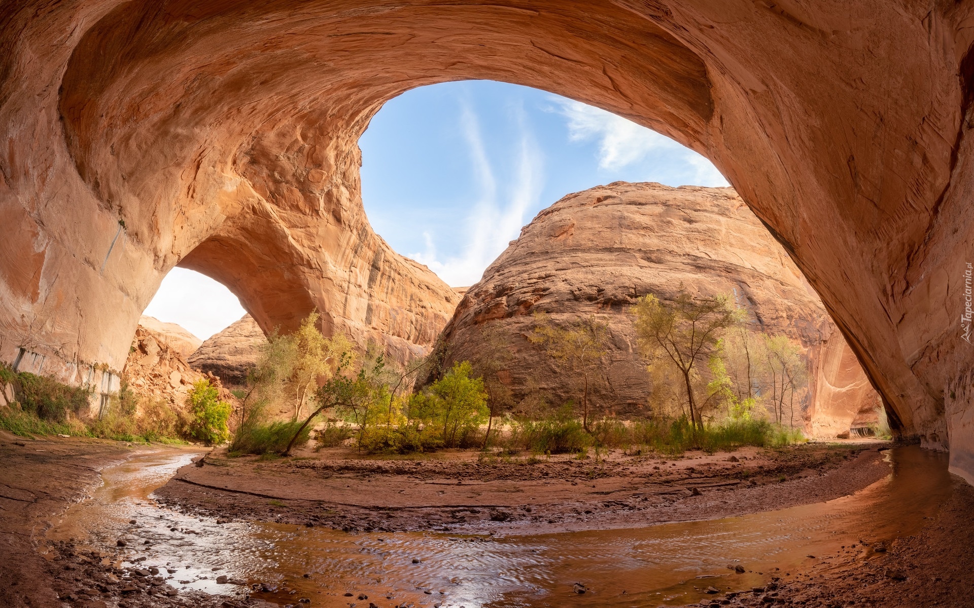 Skały, Łuk Jacoba Hamblina, Drzewa, Rzeka, Coyote Gulch, Utah, Stany Zjednoczone