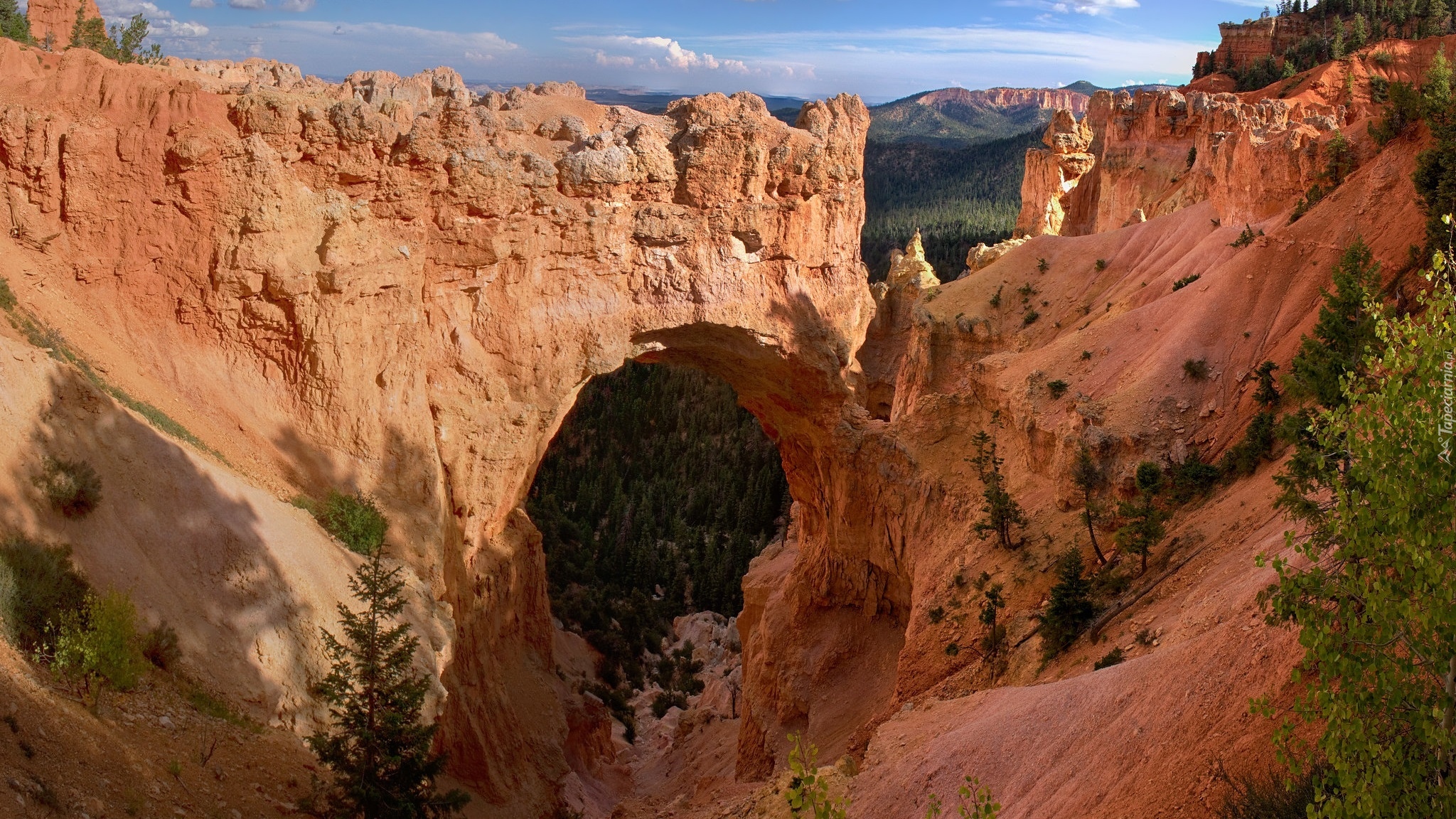 Skały, Drzewa, Łuk Natural Bridge, Kanion, Bryce Canyon, Park Narodowy Bryce Canyon, Utah, Stany Zjednoczone