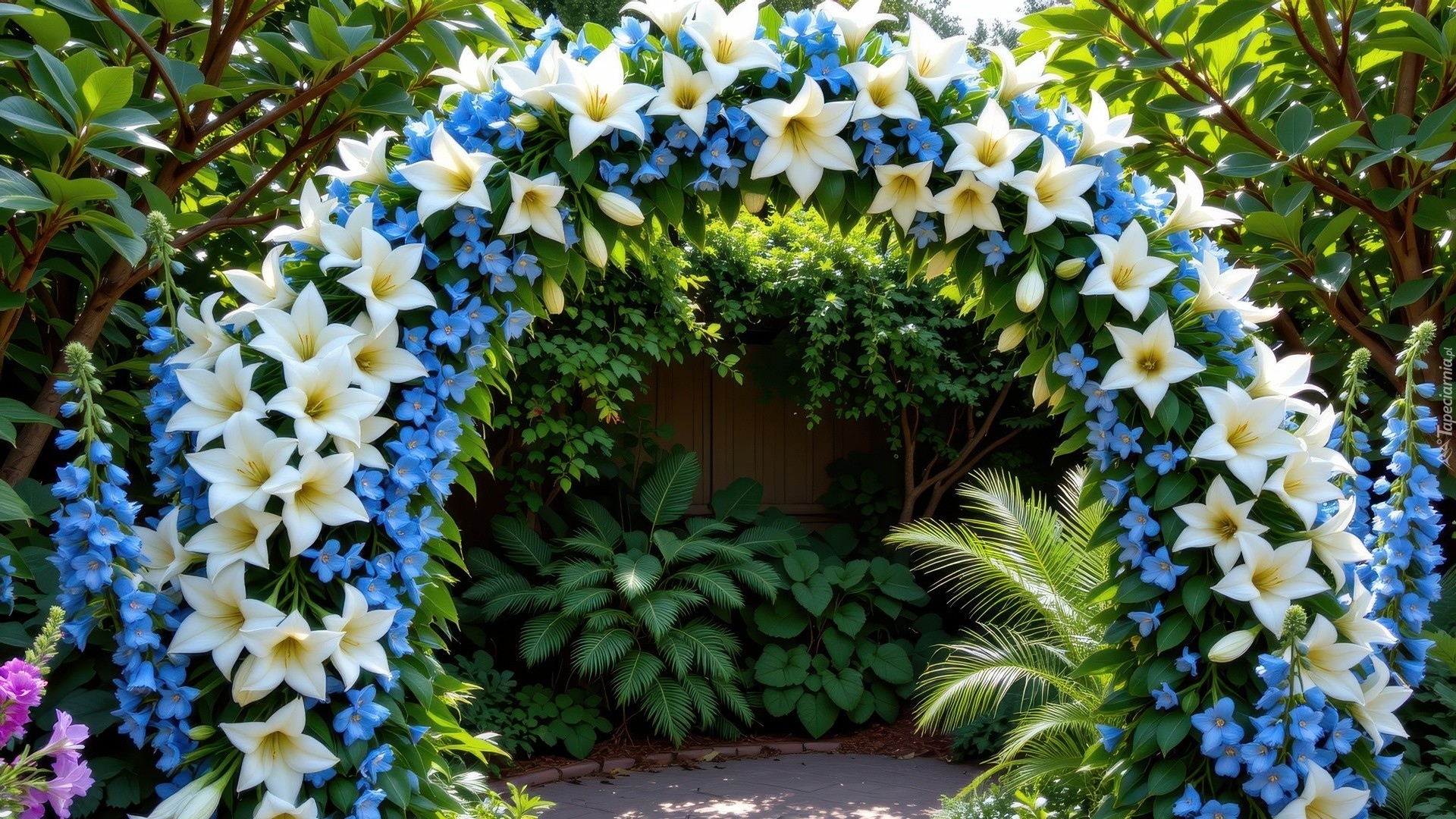 Ogród, Kwiatowy, Łuk, Niebieskie, Białe, Kwiaty, Rośliny