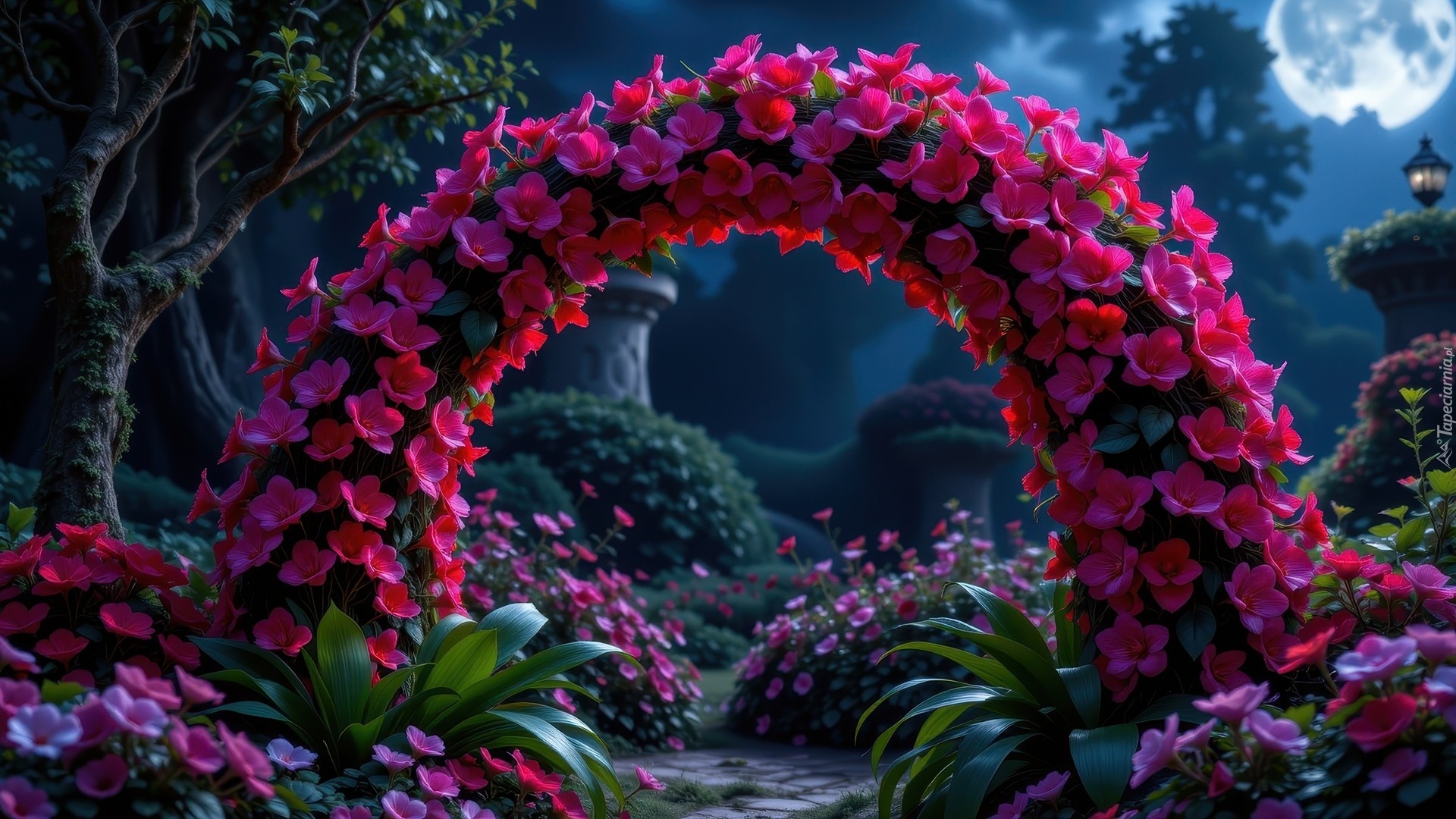 Ogród, Kwiatowy, Łuk, Czerwone, Kwiaty, Noc, Drzewo