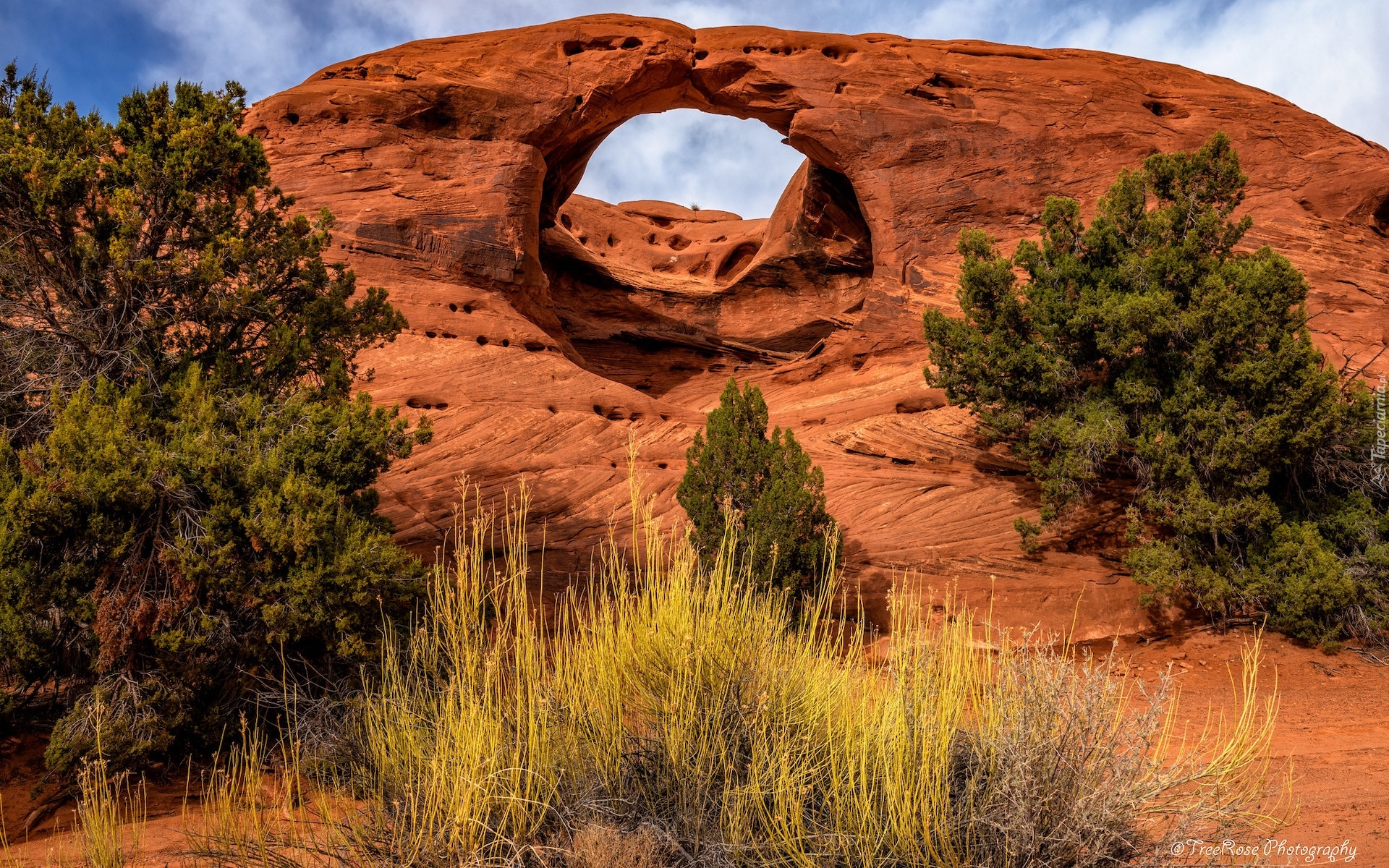 Stany Zjednoczone, Arizona, Dolina, Monument Valley, Skały, Łuk skalny, Honeymoon Arch, Drzewa, Krzewy