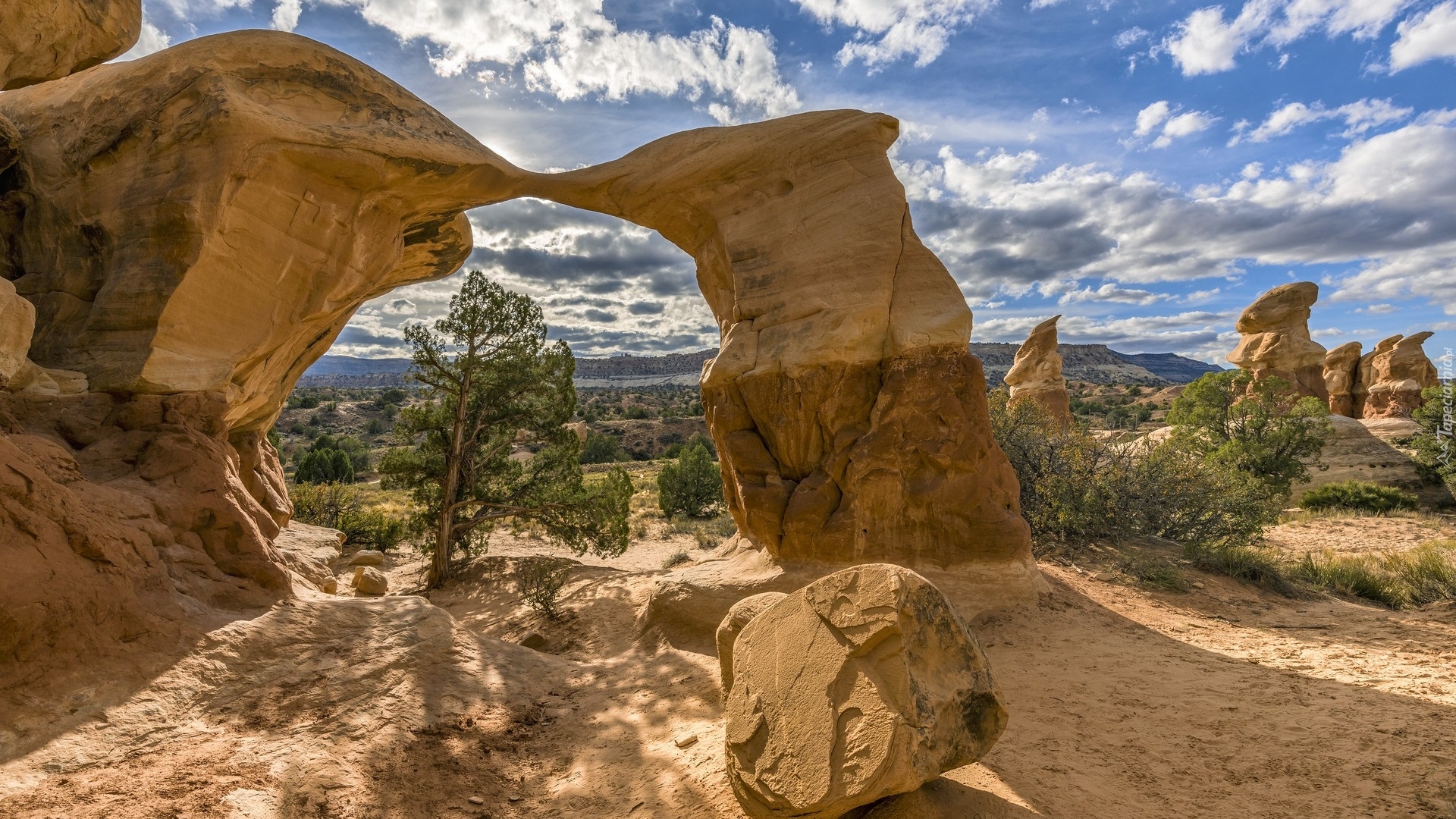 Skały, Łuk skalny, Metate Arch, Drzewa, Devils Garden, Park Narodowy Arches, Stan Utah, Stany Zjednoczone