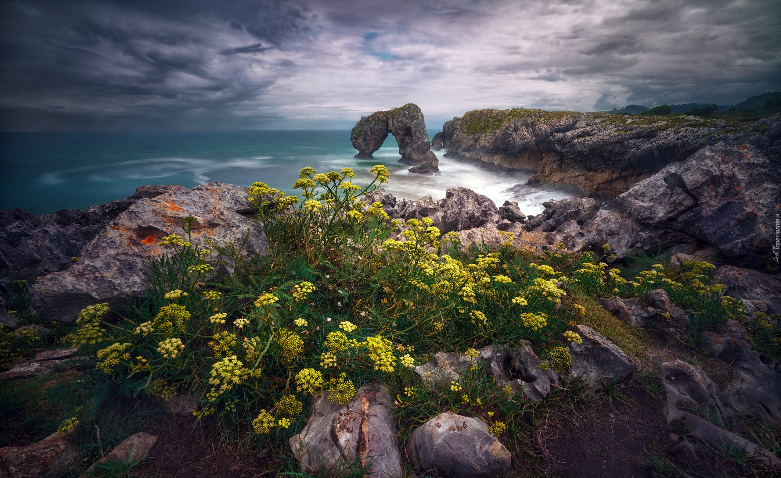 Morze, Łuk skalny, Kwiaty, Skały, Wybrzeże, Playa de La Huelga, Gmina Hontoria, Asturia, Hiszpania