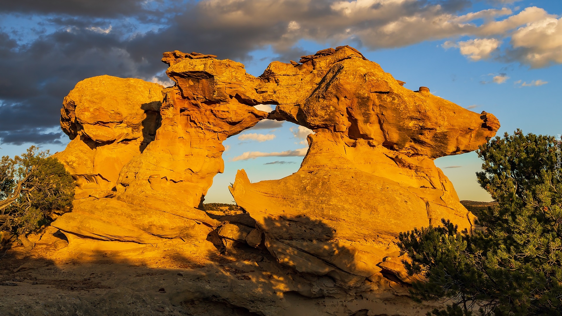 Skała, Łuk, Drzewa, Grand Staircase Escalante, Utah, Stany Zjednoczone