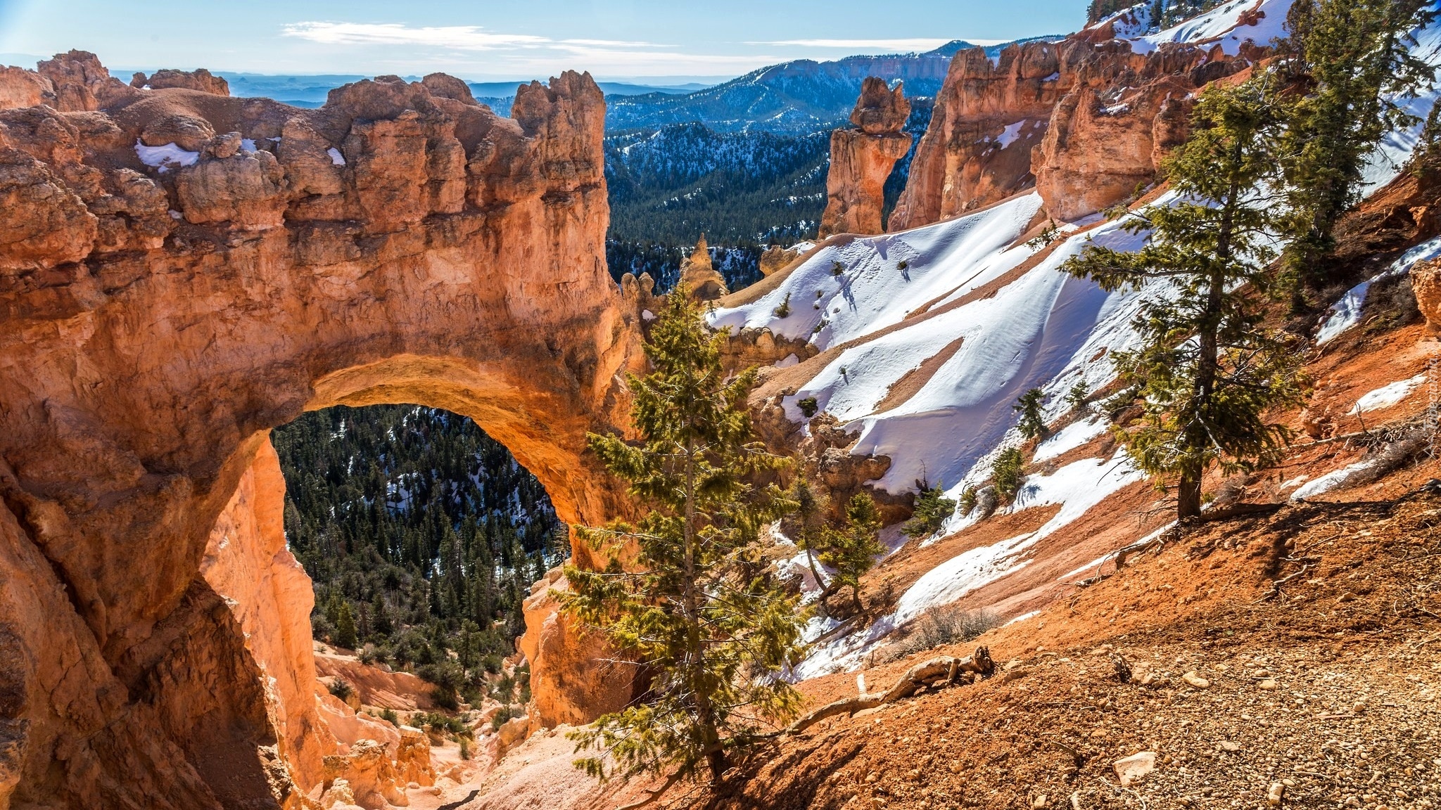 Stany Zjednoczone, Stan Utah, Park Narodowy Bryce Canyon, Kanion, Góry, Drzewa, Łuk Natural Bridge, Skały