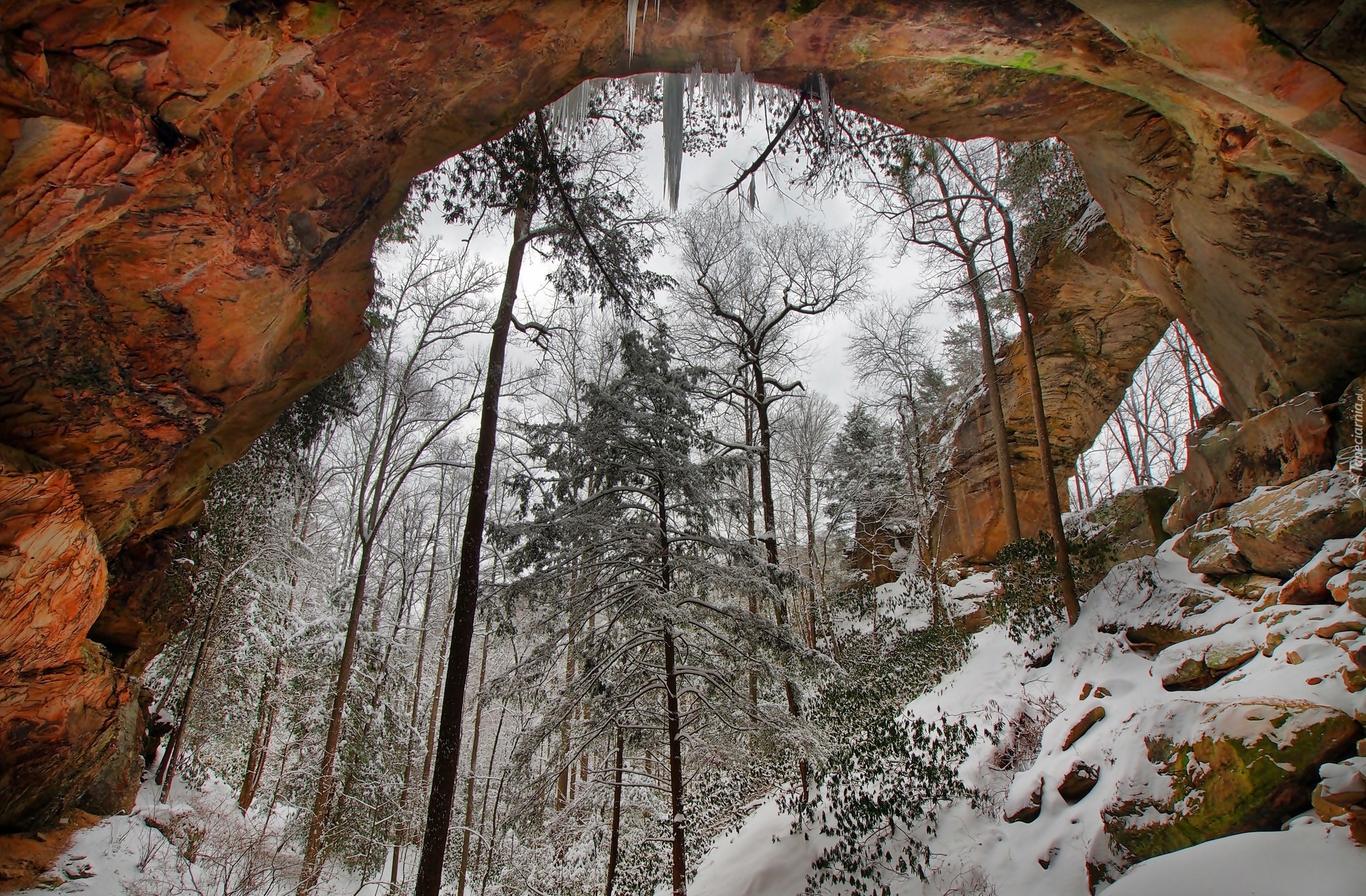 Stany Zjednoczone, Stan Kentucky, Kanion Red River Gorge, Łuk, Skalny, Zima, Drzewa