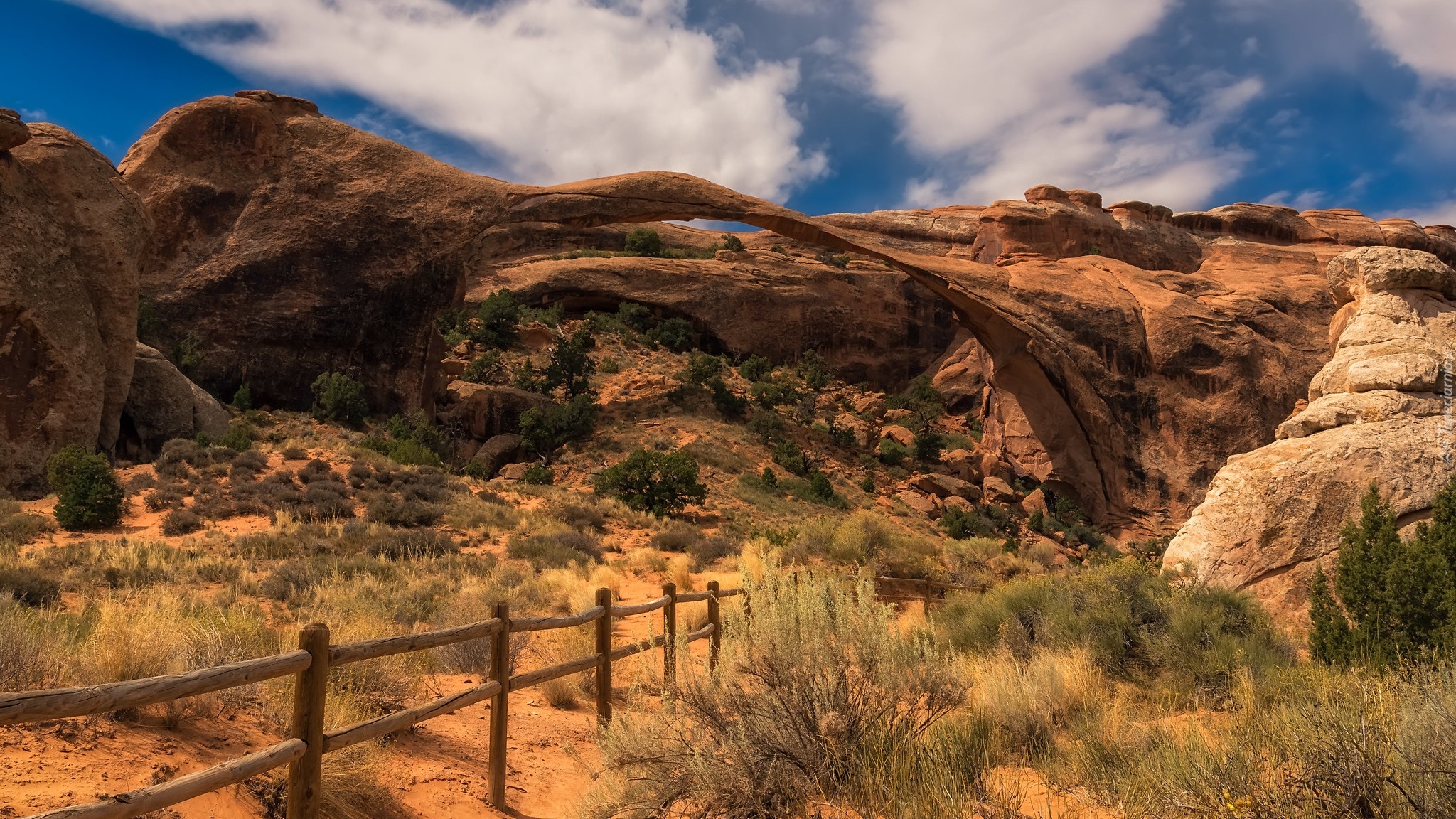 Skały, Łuki skalne, Devils Garden, Rośliny, Ogrodzenie, Park Narodowy Arches, Stan Utah, Stany Zjednoczone