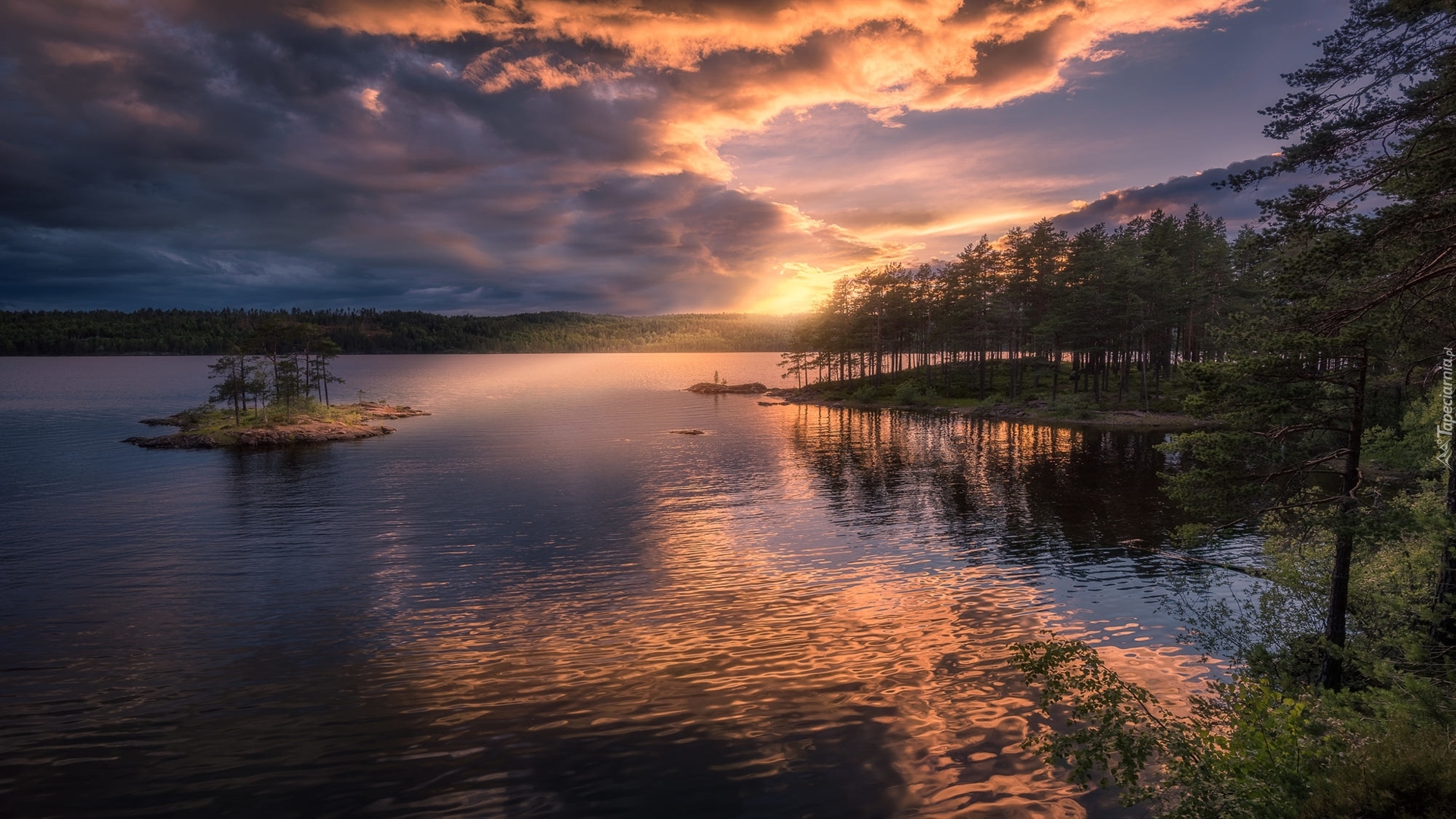 Norwegia, Gmina Ringerike, Wschód słońca, Jezioro, Wysepka, Drzewa, Chmury