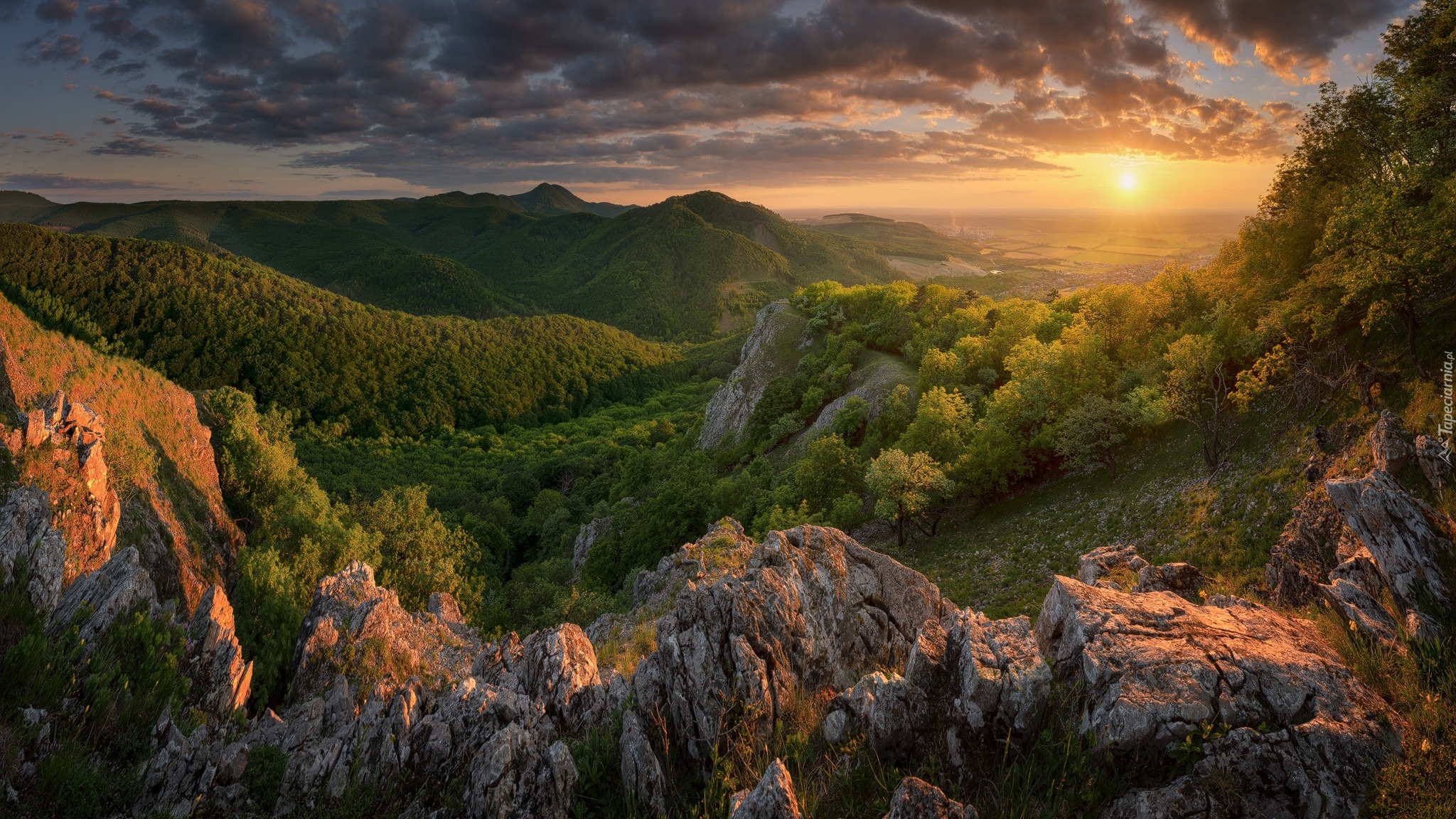 Słowacja, Góry, Małe Karpaty, Skały, Wschód słońca, Lasy