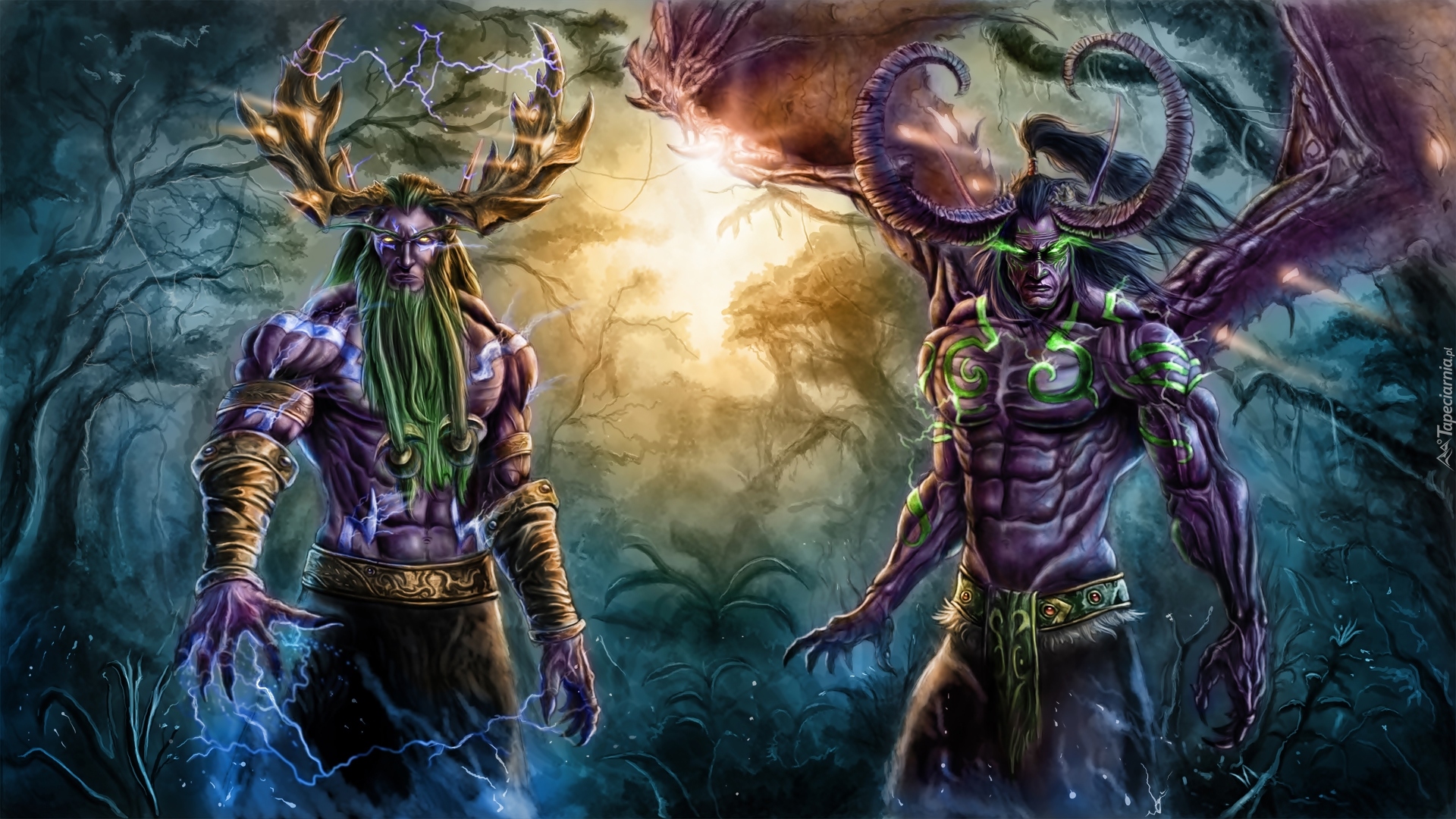 Gra, World of Warcraft, Warcraft 3 Reign of Chaos, Malfurion Stormrage, Illidan Stormrage