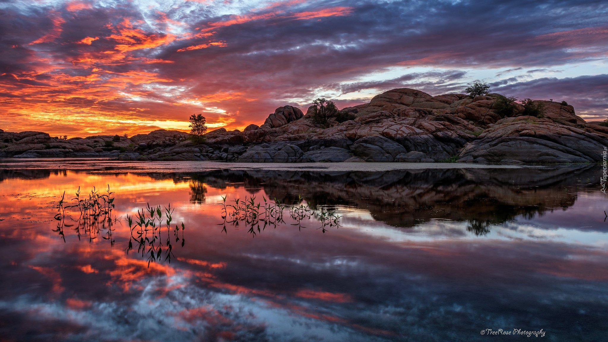 Wschód słońca, Skały, Jezioro, Willow Lake, Arizona, Stany Zjednoczone