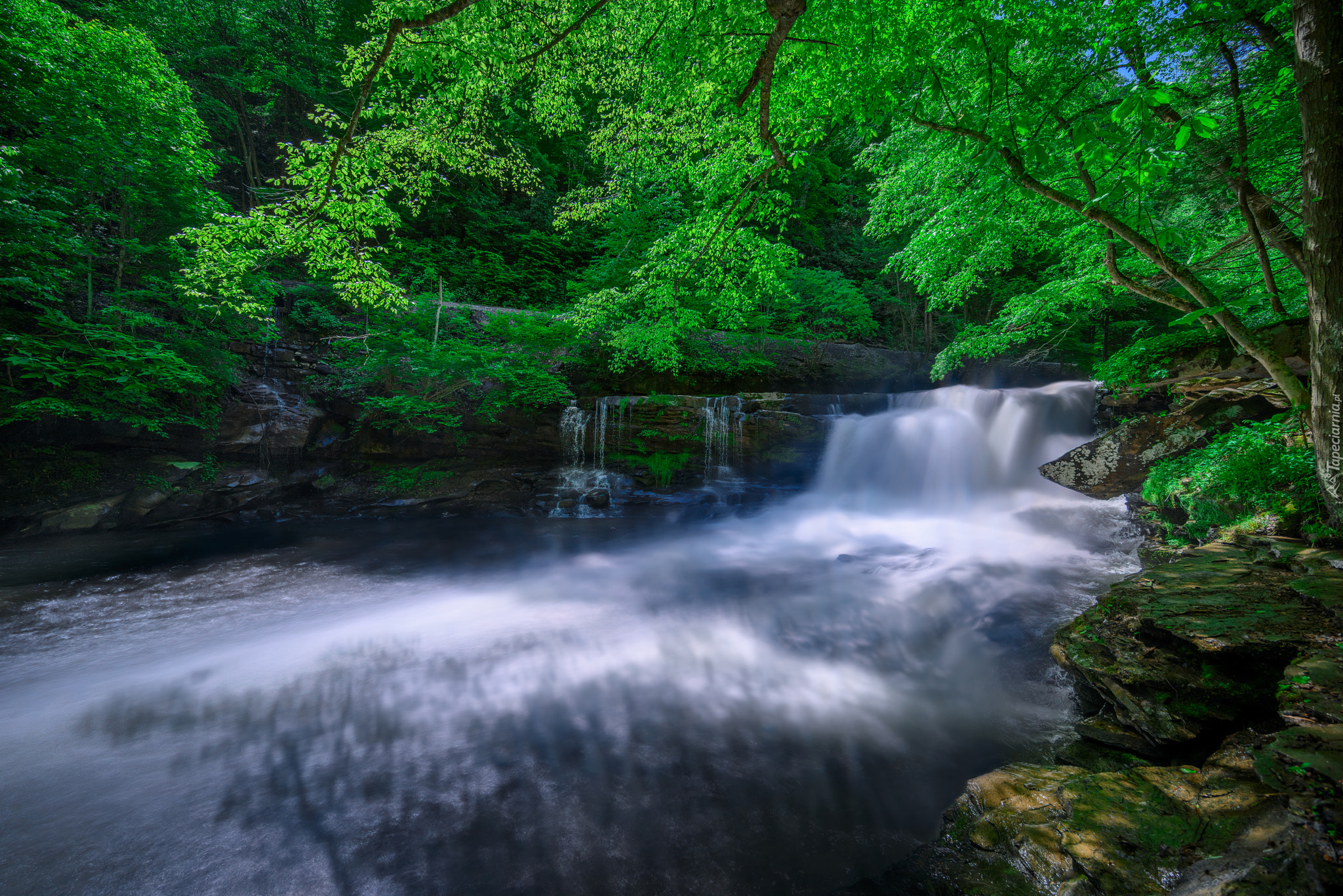 Wodospad, Rzeka New, Las, Skały, Drzewa, Park Narodowy New River Gorge National River, Thurmond, Wirginia Zachodnia, Stany Zjednoczone