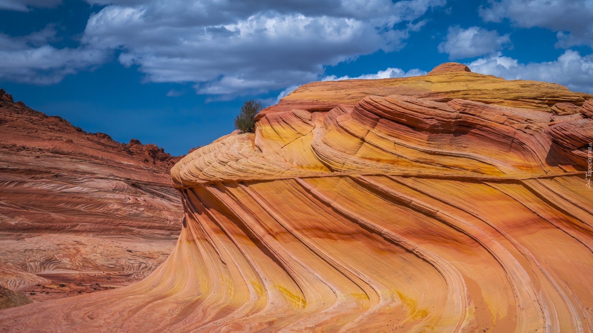 Kanion, Skały, Marble Canyon, Arizona, Stany Zjednoczone