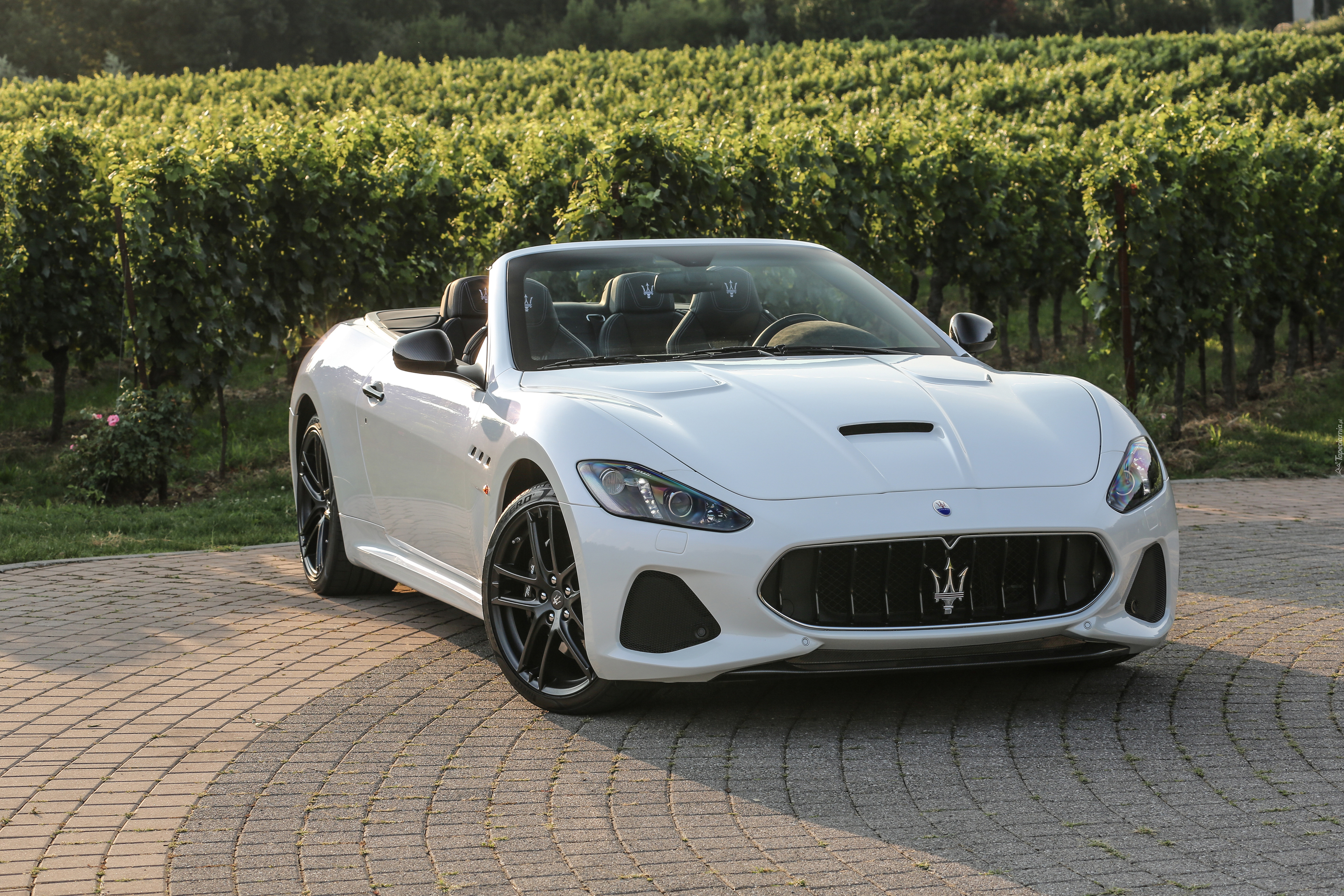 Maserati Gran Cabrio MC Centennial Edition, 2014