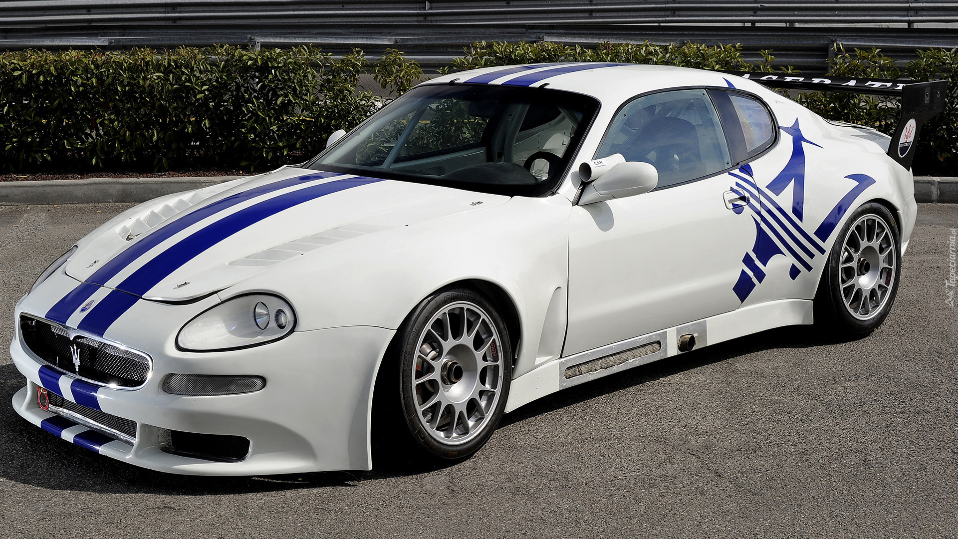 Maserati Trofeo