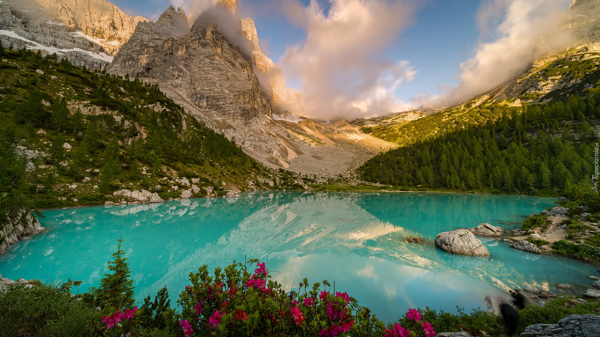 Góry, Dolomity, Masyw Sorapiss, Jezioro Sorapis, Drzewa, Lasy, Kwiaty, Prowincja Belluno, Włochy