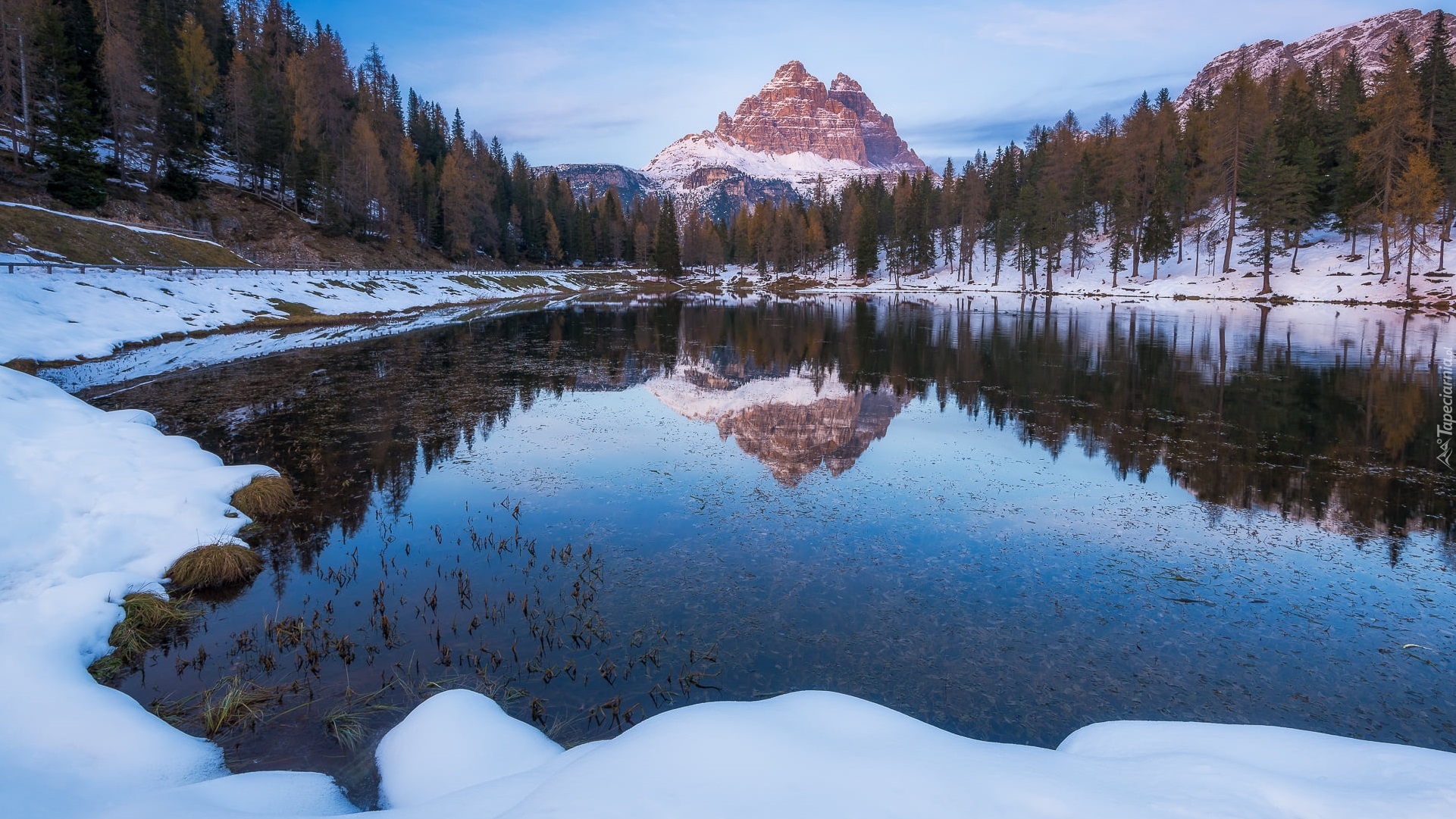 Zima, Jezioro, Antorno Lake, Góry, Dolomity, Masyw, Tre Cime di Lavaredo, Drzewa, Prowincja Belluno, Włochy