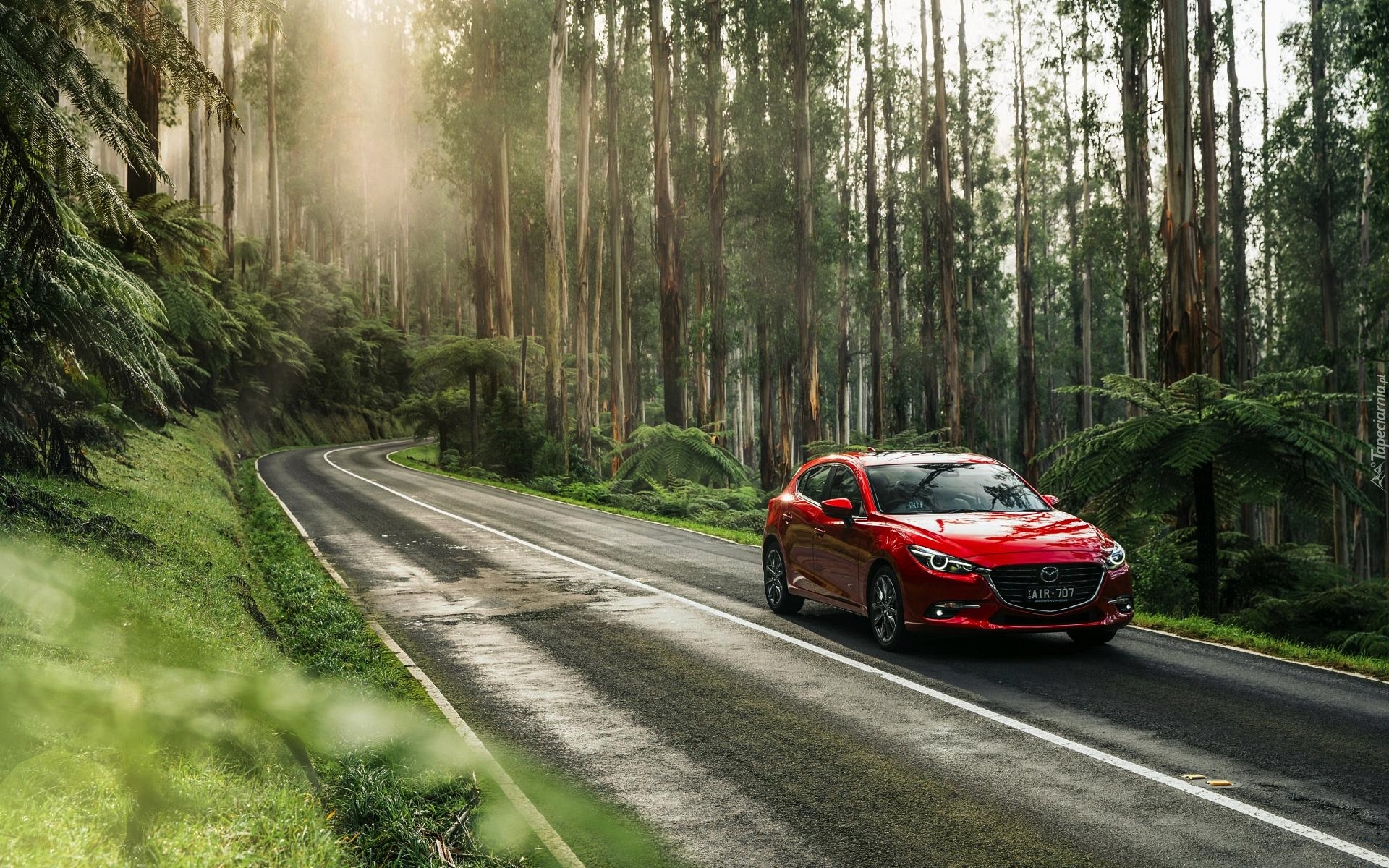 Czerwona, Mazda 3 SP25 Astina Sedan, 2016, Las, Droga