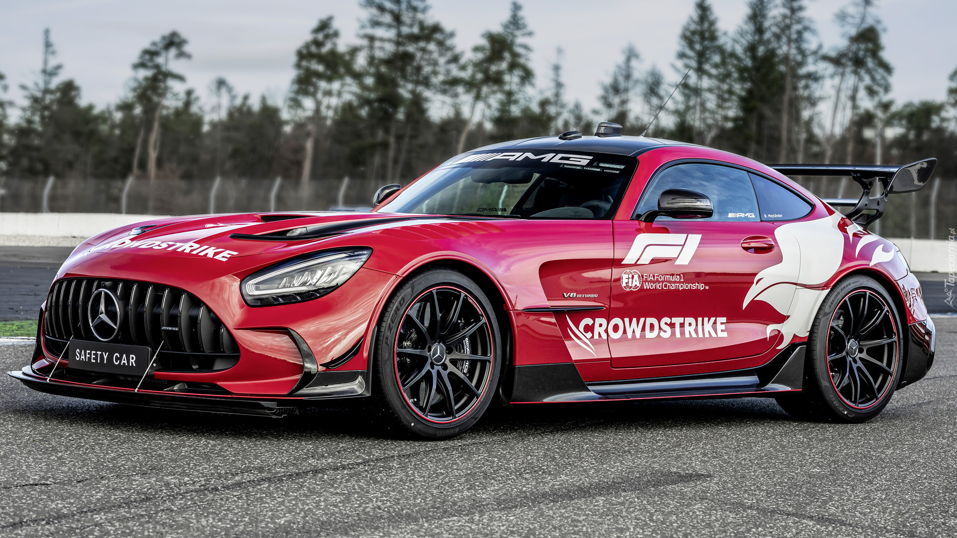 Mercedes-AMG GT, Black Series, F1 Safety Car