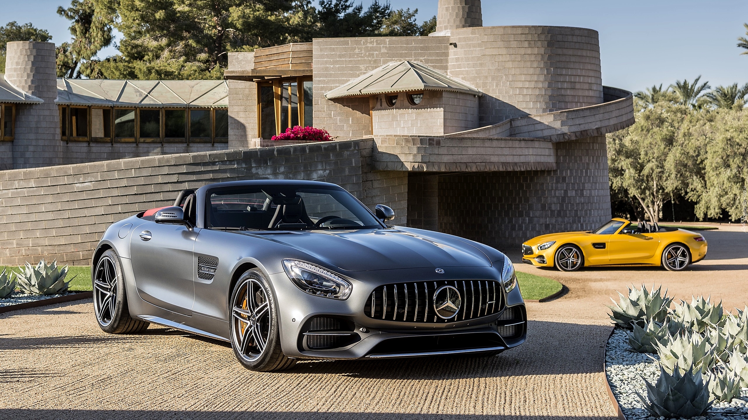 Mercedes-AMG GT C, Roadster, 2018, Dom