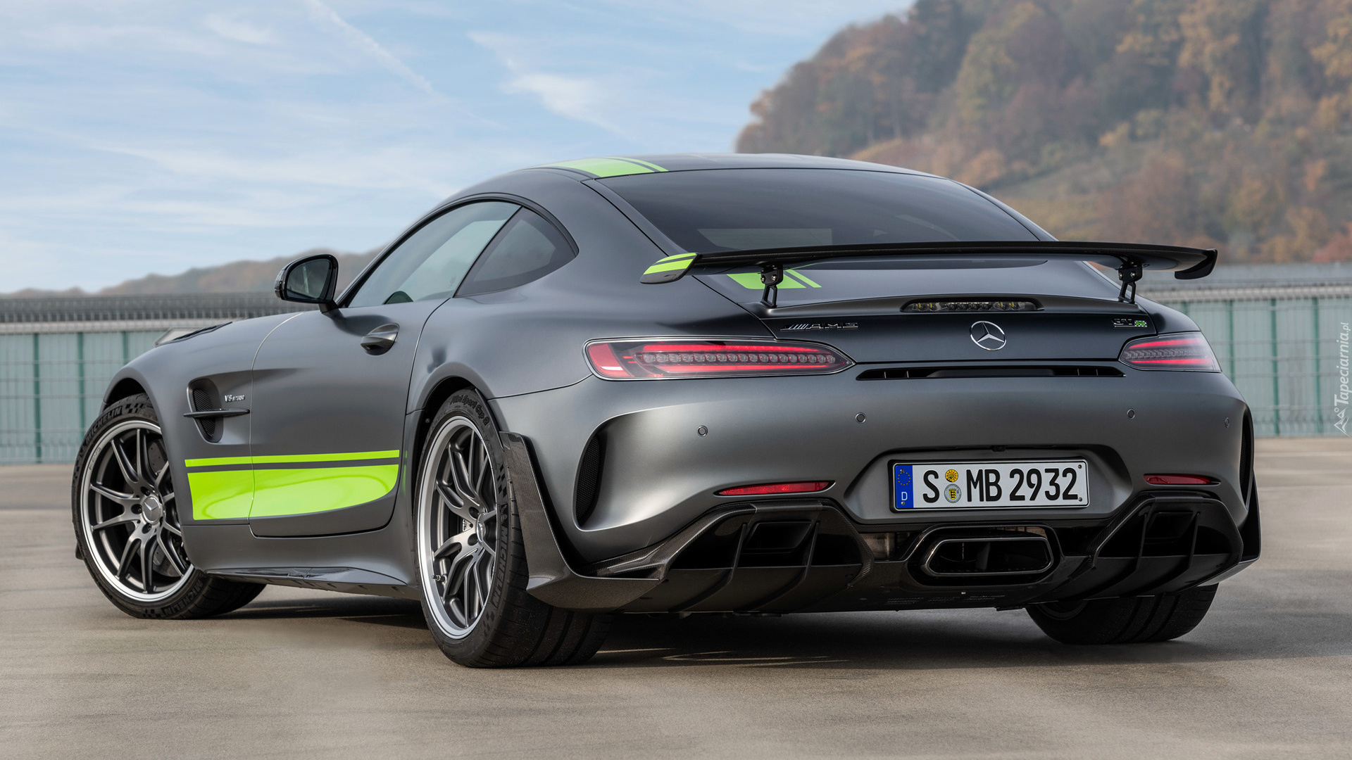 Mercedes-AMG GT R PRO, Tył