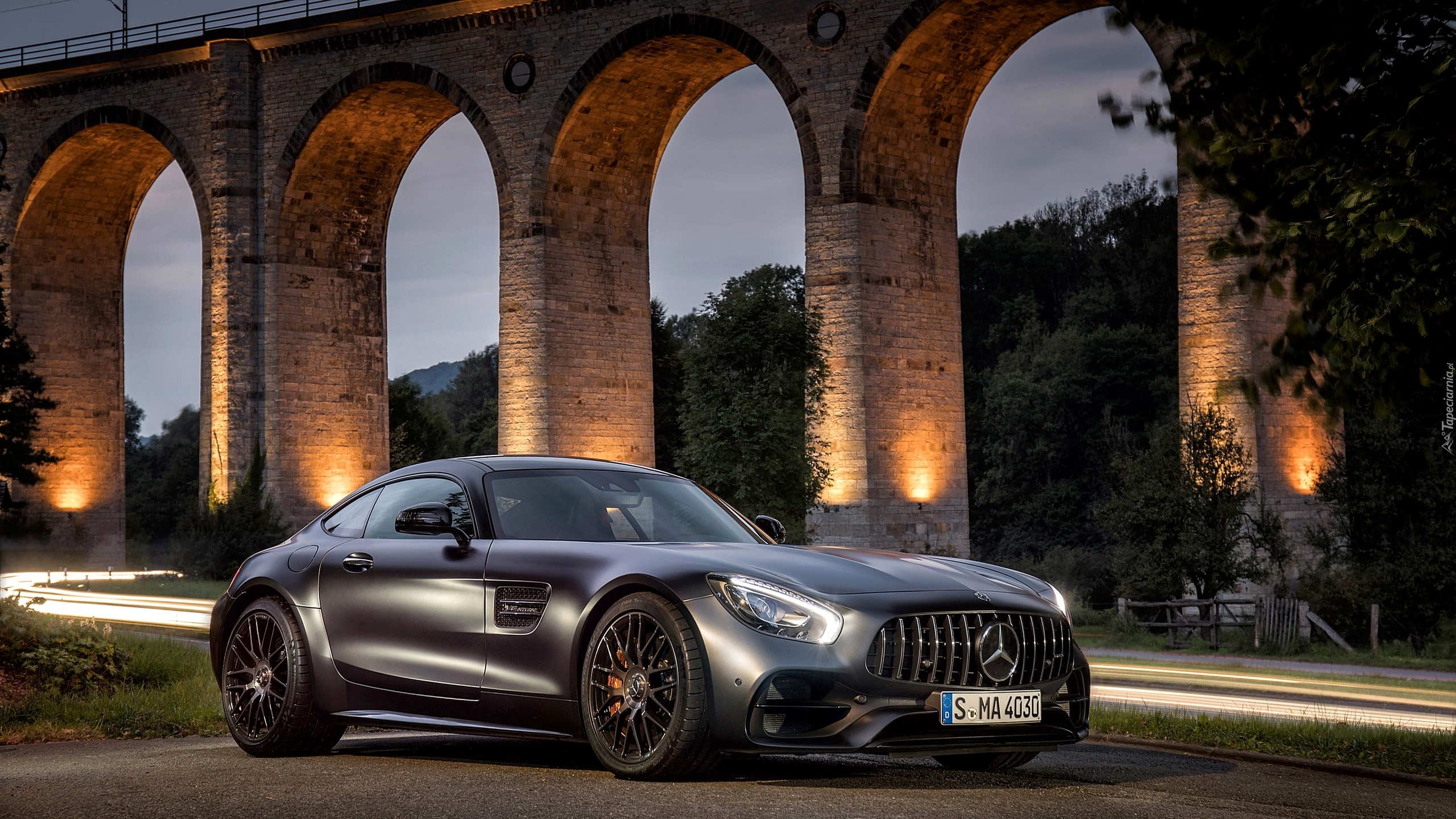 Mercedes-Benz AMG GT C Edition 50, 2018