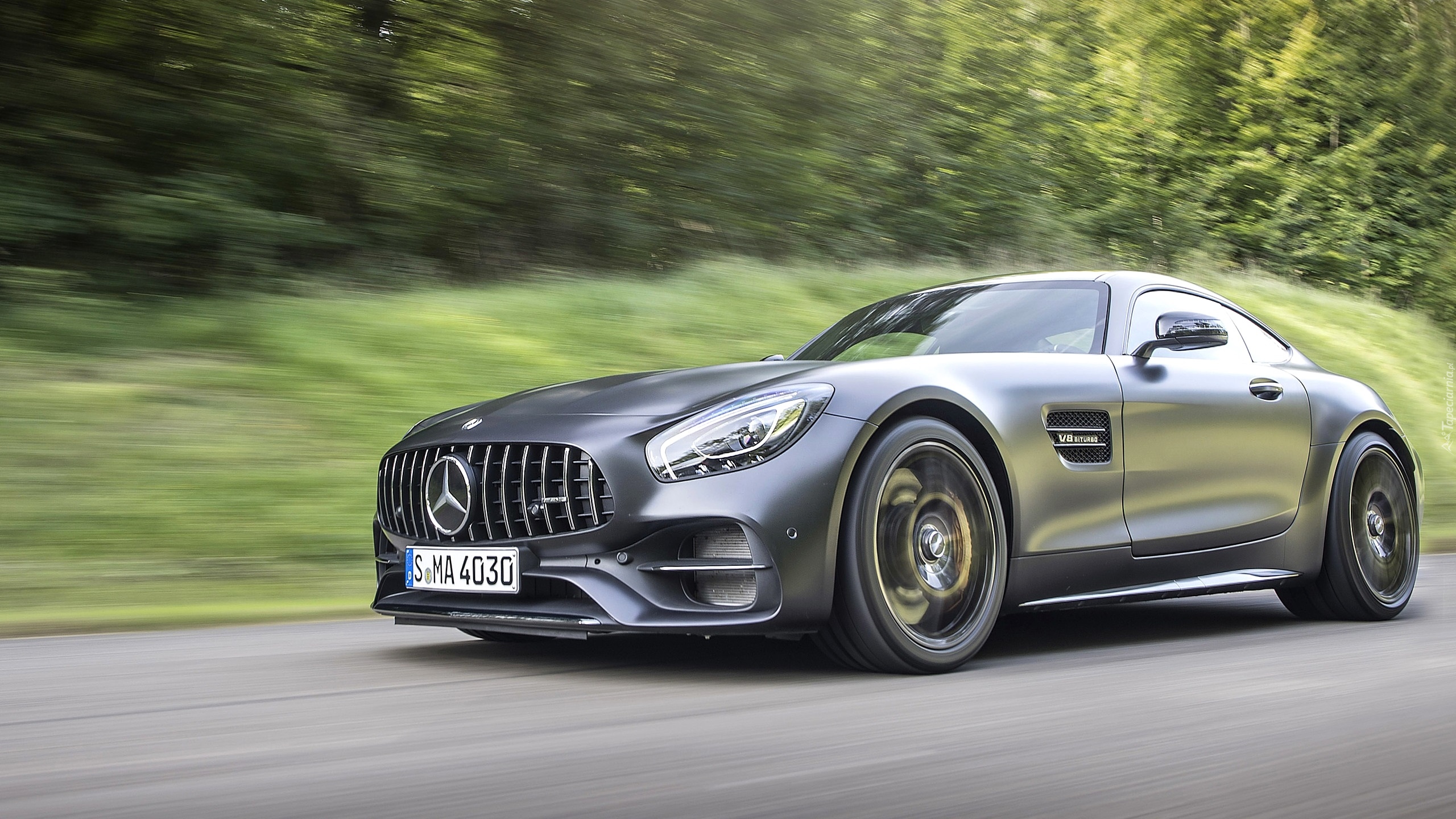 Mercedes-Benz AMG GT C Edition 50, 2018