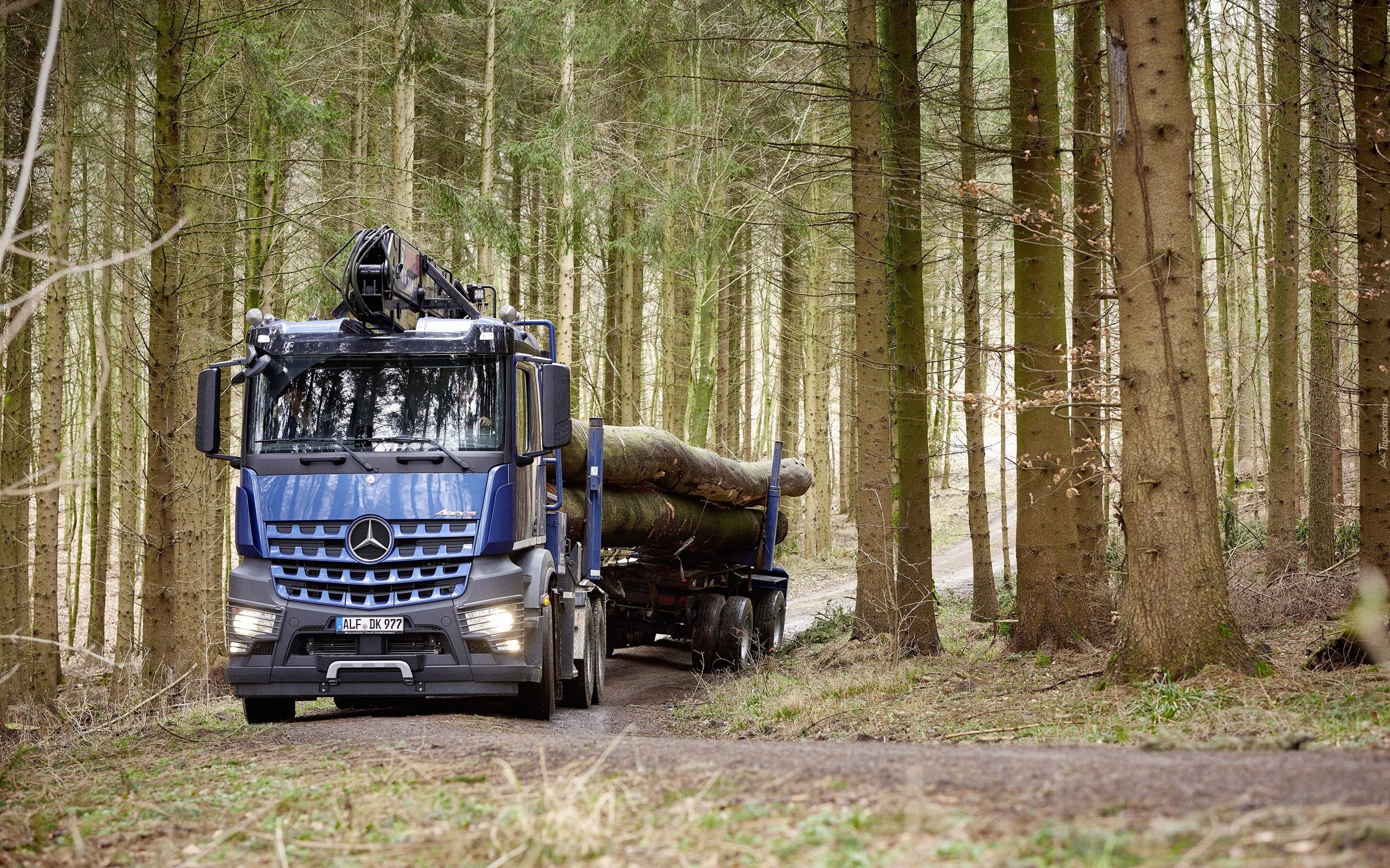 Ciężarówka, Mercedes-Benz Arocs 2658 L 6×4, 2016, Las