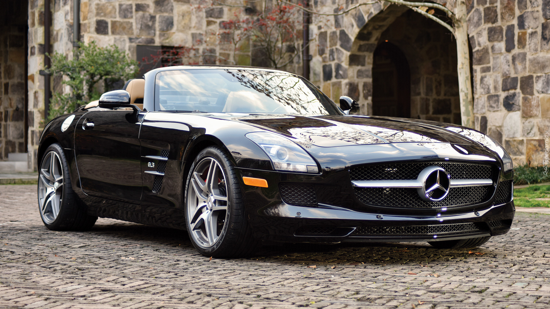 Czarny, Mercedes-Benz SLS AMG