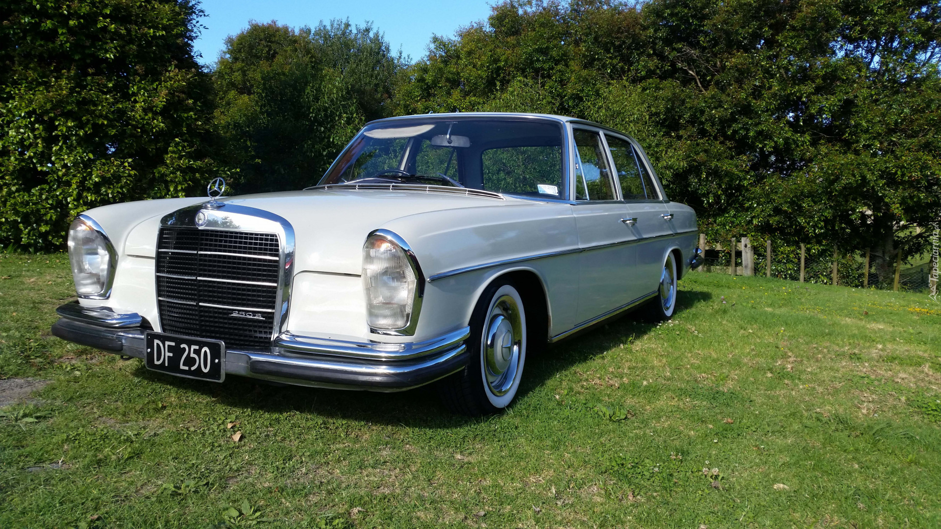 Zabytkowy, Mercedes-Benz W108 250S, 1967