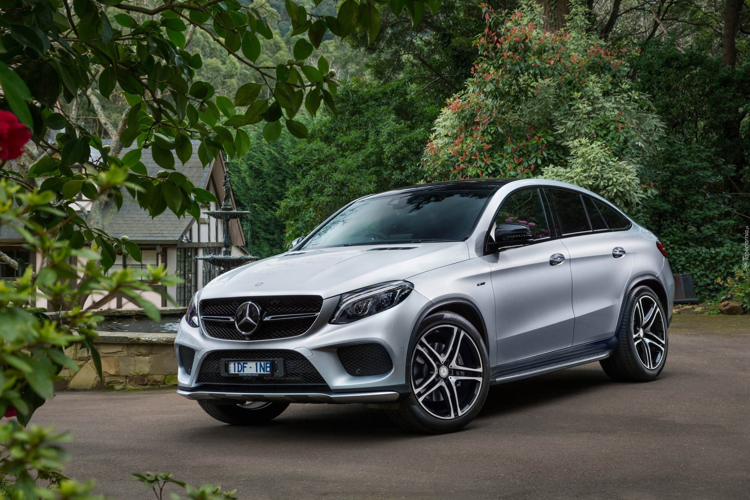 Mercedes GLE 450 AMG, Dom, Drzewa