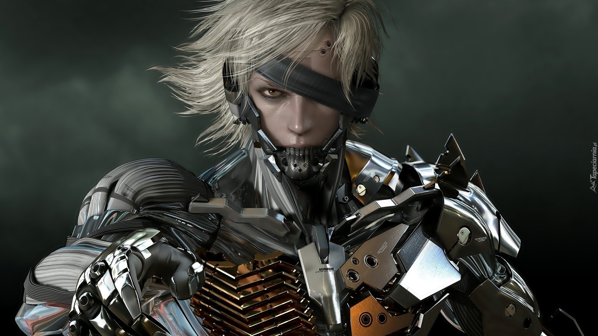 Metal Gear Rising Revengeance