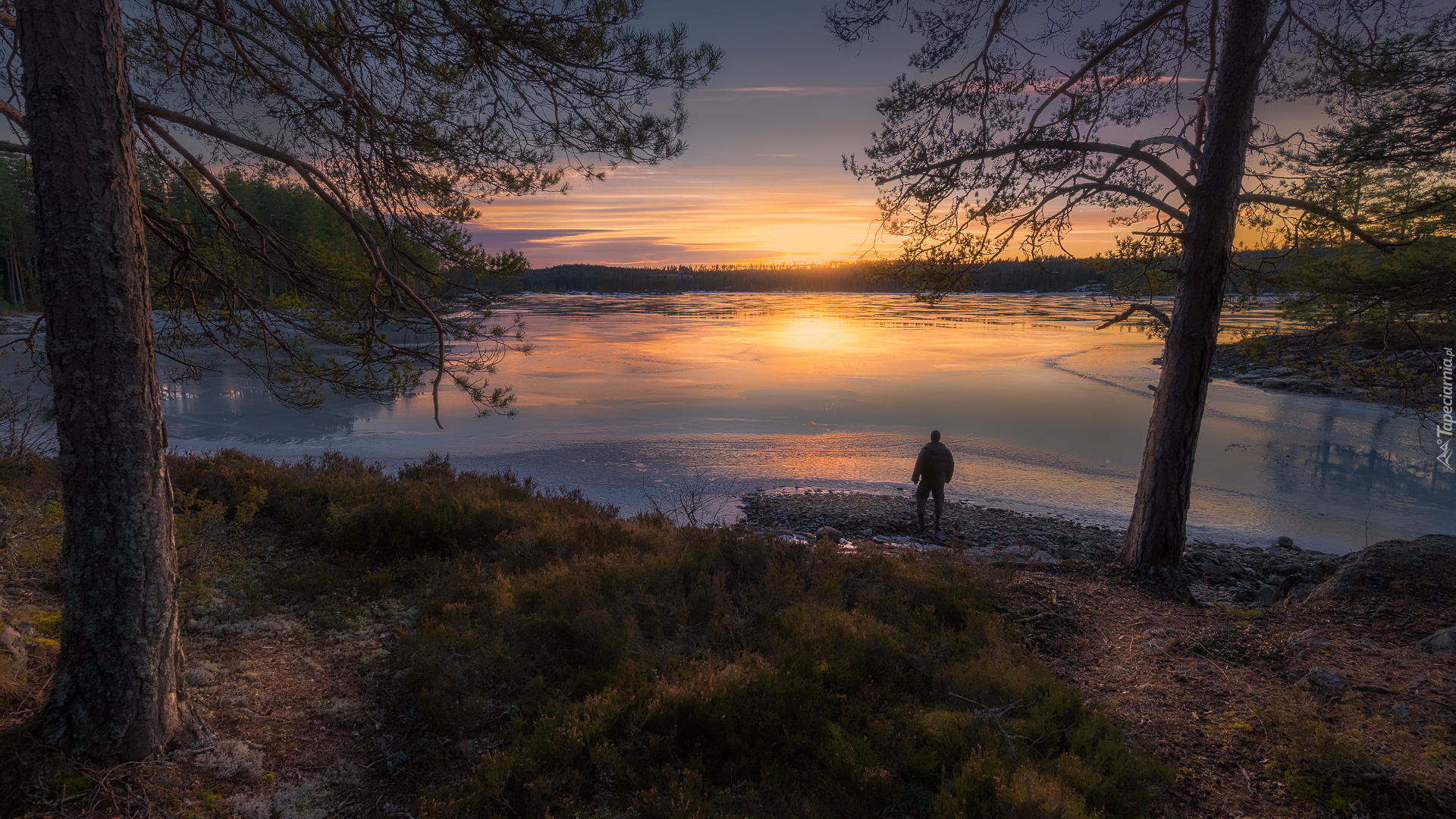 Jezioro, Drzewa, Zachód słońca, Ringerike, Norwegia