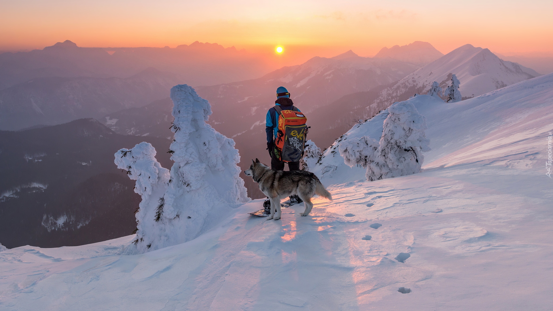 Góry, Zima, Ośnieżone, Drzewa, Mężczyzna, Snowboardzista, Pies, Zachód słońca