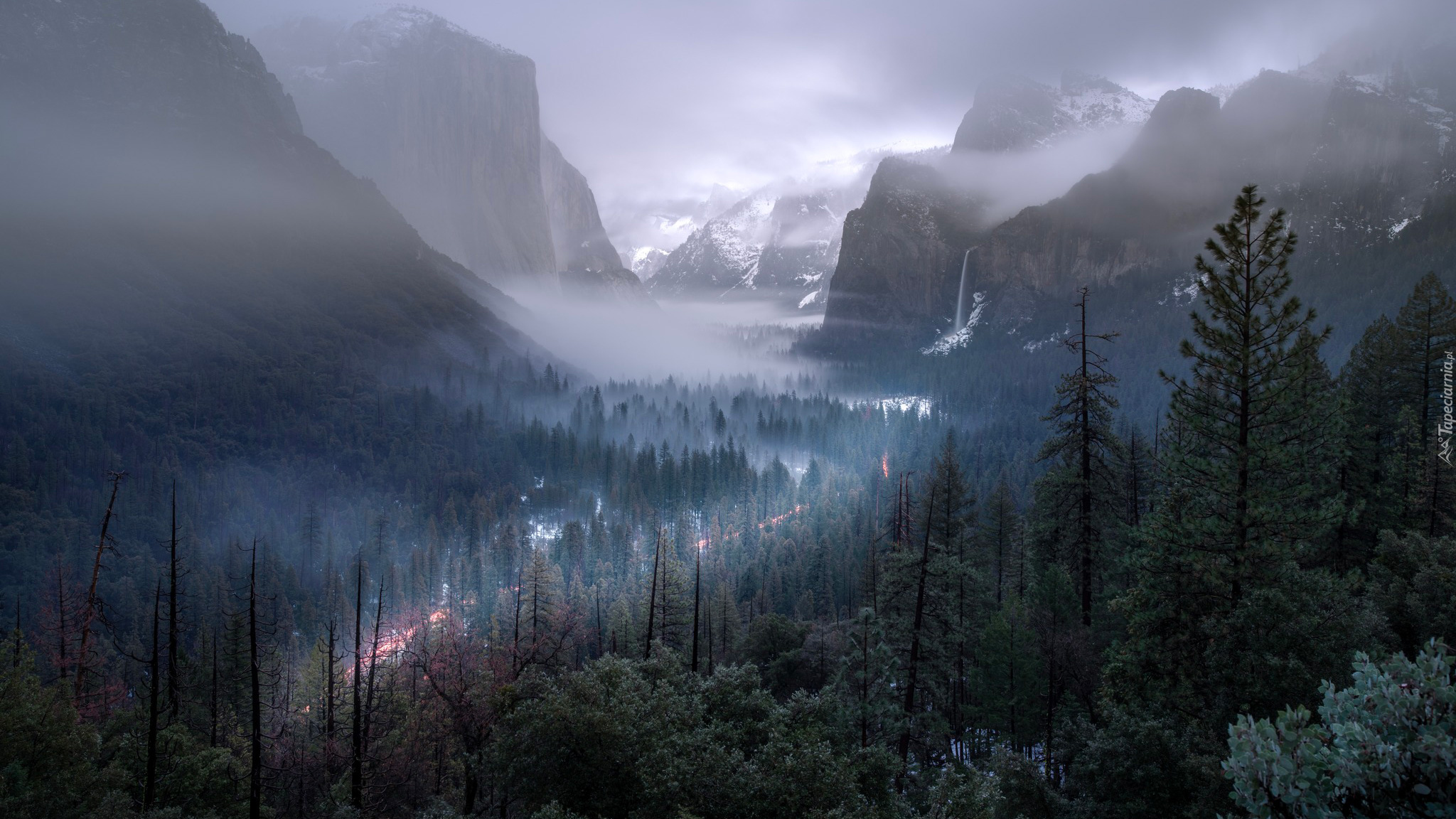 Drzewa, Góry, Mgła, Park Narodowy Yosemite, Kalifornia, Stany Zjednoczone