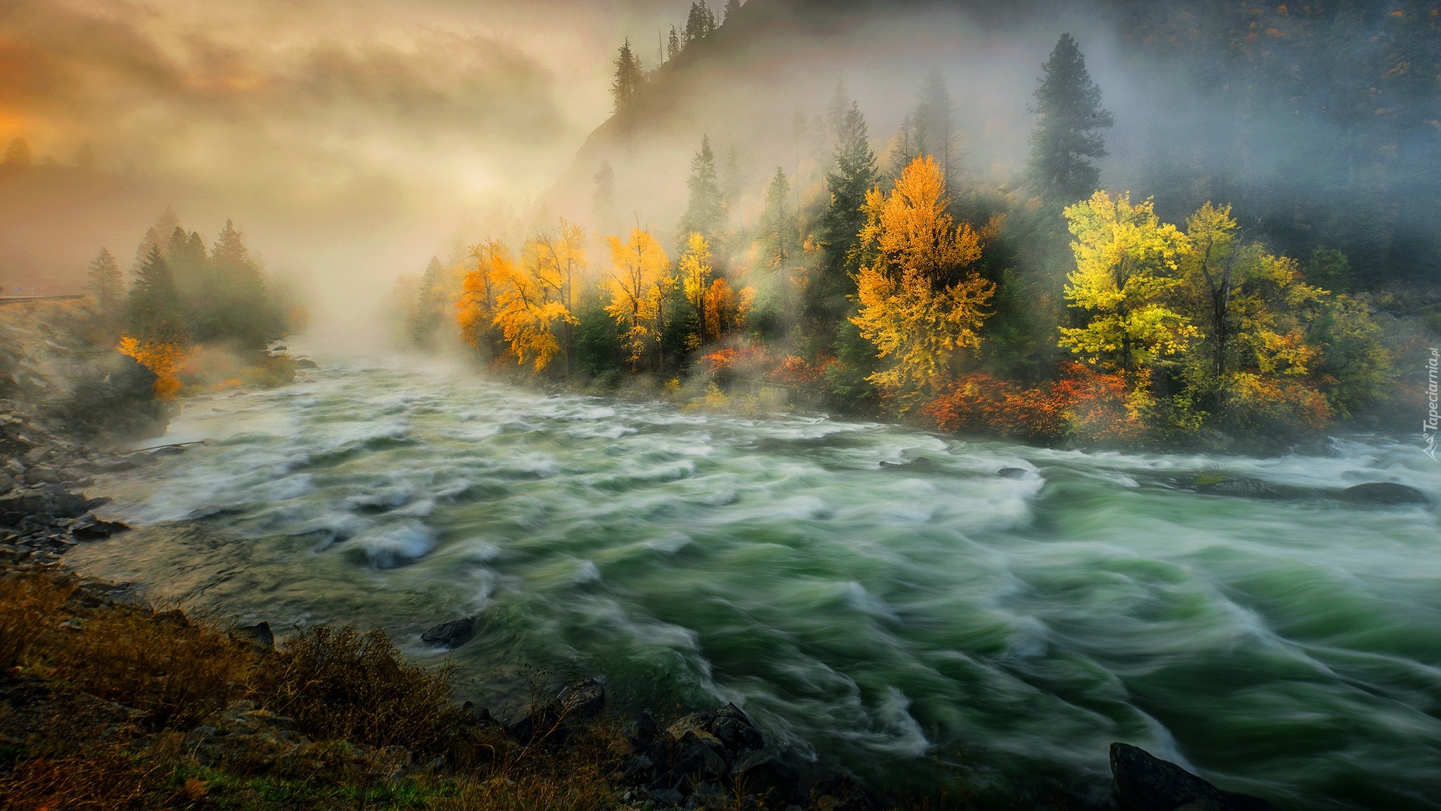 Jesień, Drzewa, Mgła, Góry, Poranek, Rzeka