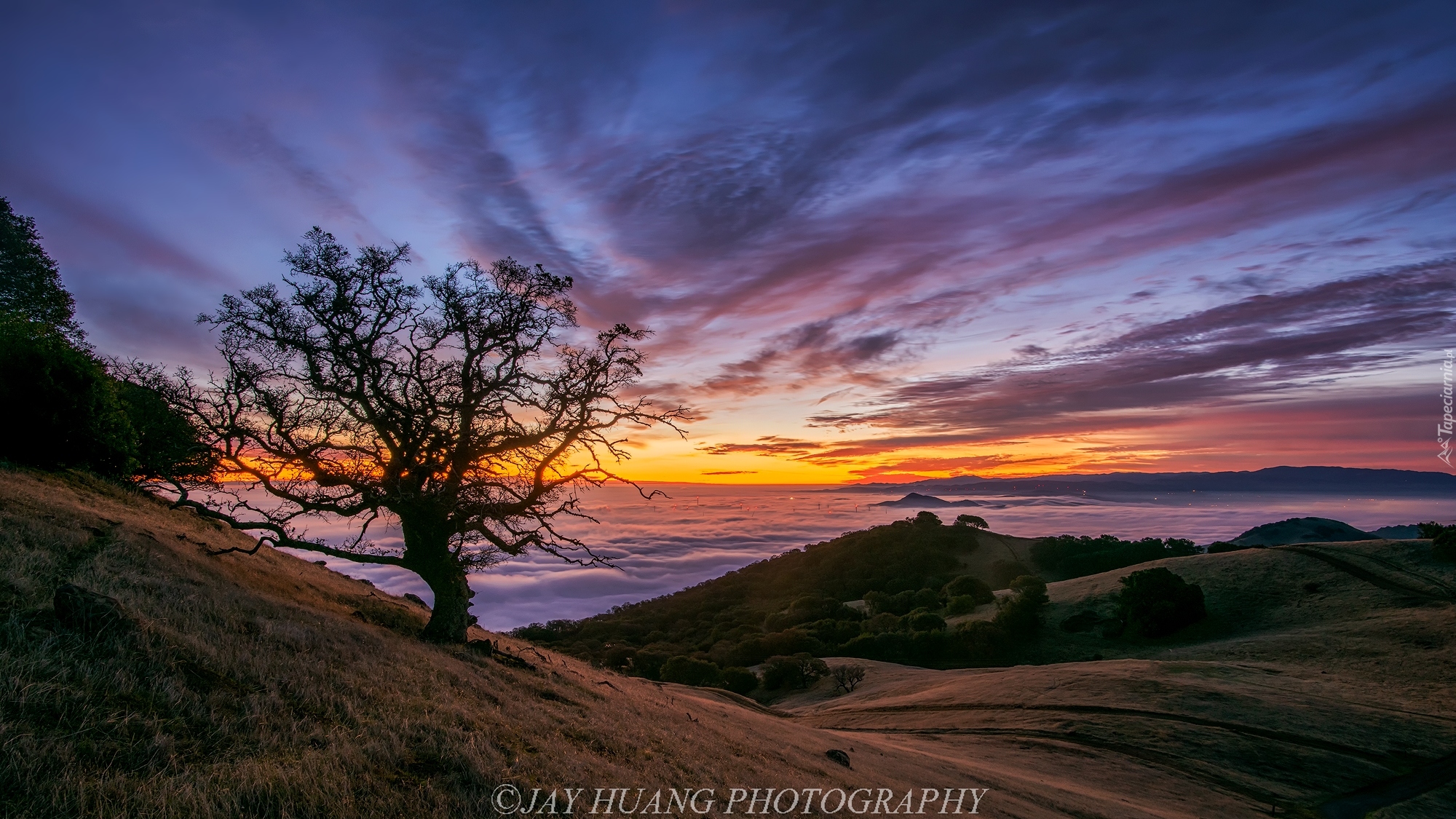 Wschód słońca, Chmury, Drzewo, Wzgórza, Mgła, Dolina Livermore Valley, Kalifornia, Stany Zjednoczone