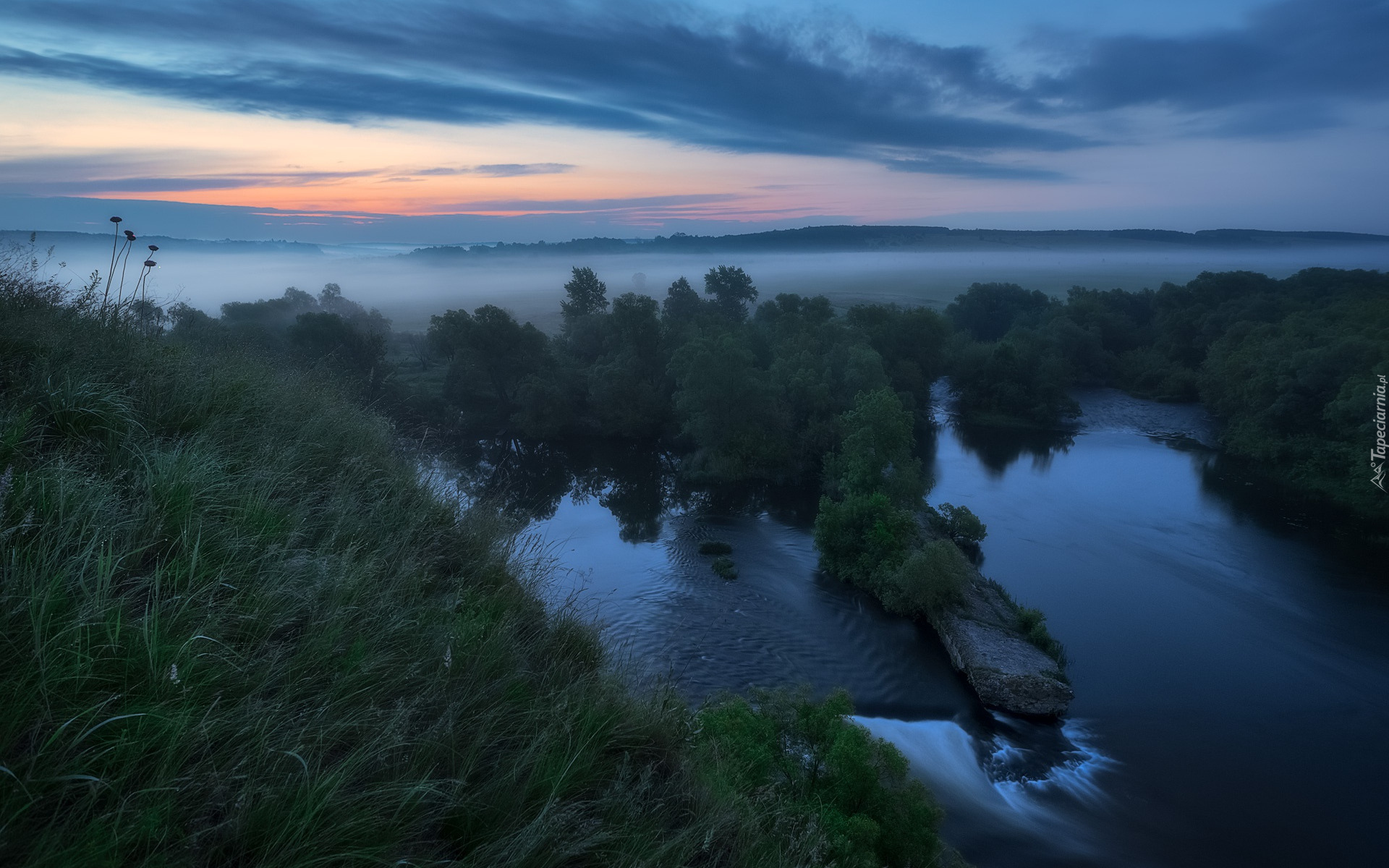 Mgła, Rzeka, Trawa, Drzewa