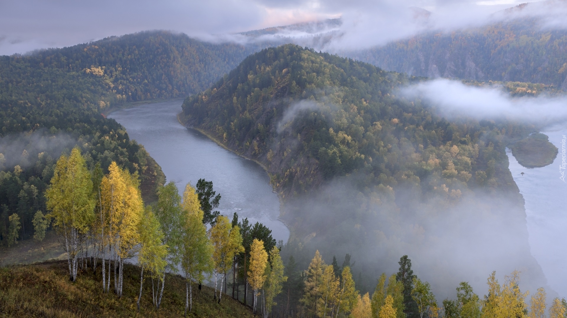 Rzeka Mana, Lasy, Mgła, Góry, Drzewa, Kraj Krasnojarski, Rosja