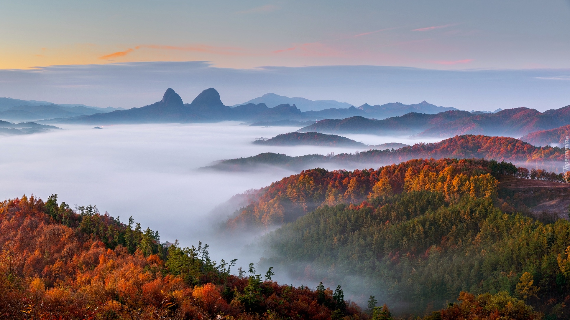 Góry, Jesień, Mgła, Lasy, Drzewa