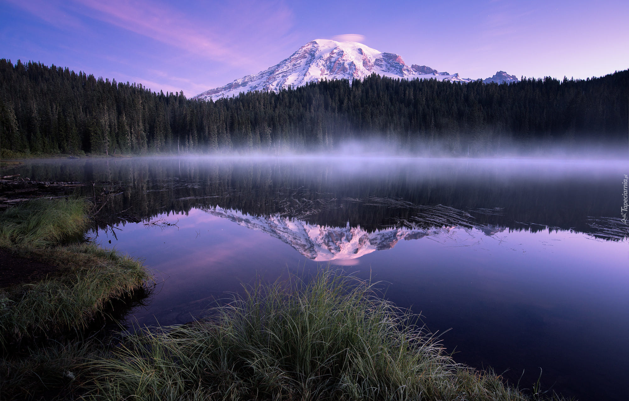 Stany Zjednoczone, Stan Waszyngton, Park Narodowy Mount Rainier, Góry, Stratowulkan Mount Rainier, Las, Jezioro Bench Lake, Trawa, Mgła, Odbicie