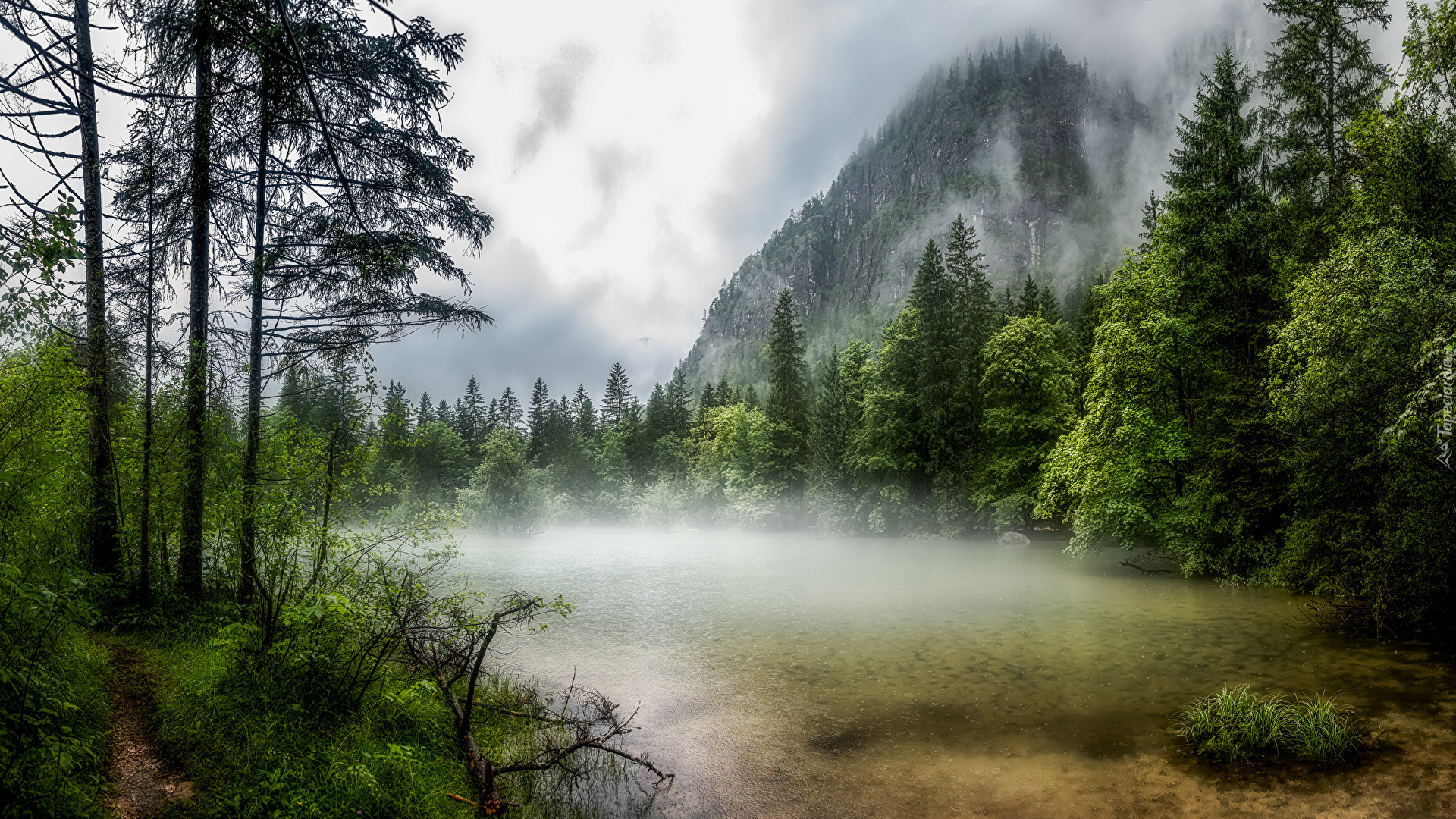 Góry, Jezioro Koppenwinkellacke, Ścieżka, Drzewa, Mgła, Obertraun, Austria