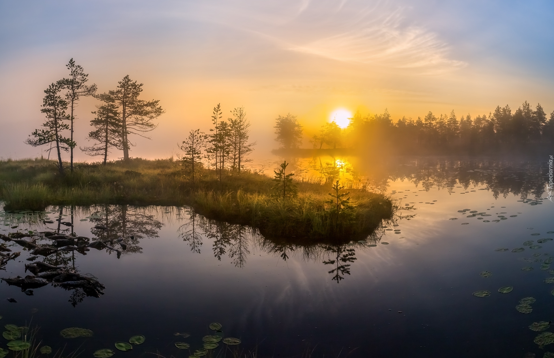 Jezioro, Drzewa, Mgła, Wschód słońca